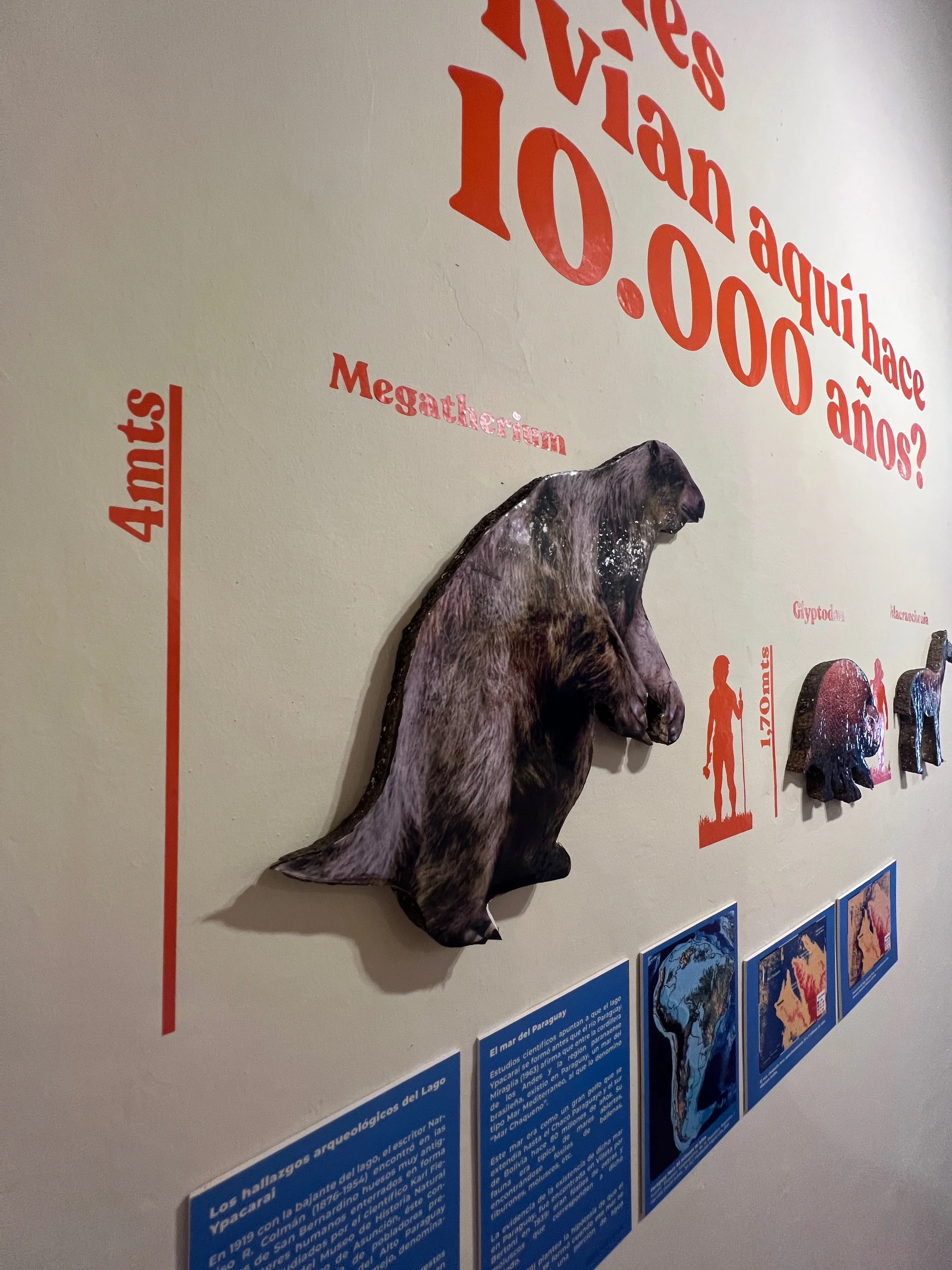 Hassler_a-megalodon_IMG_0249_Original.jpg