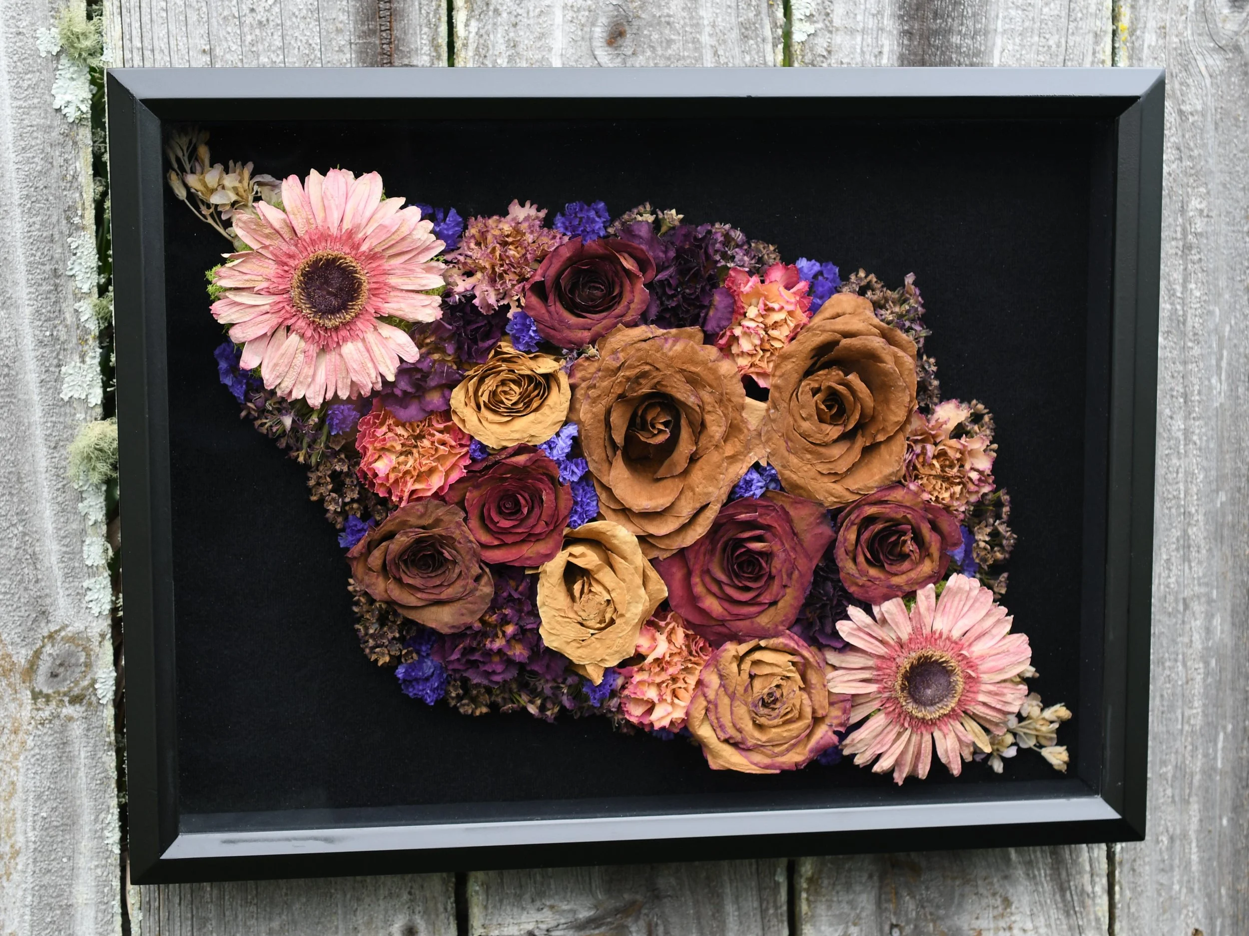 Black frame, black background holding gerbera daisies, dried red and yellow roses, blue accent flowers, and pink carnations from a wedding preservation project