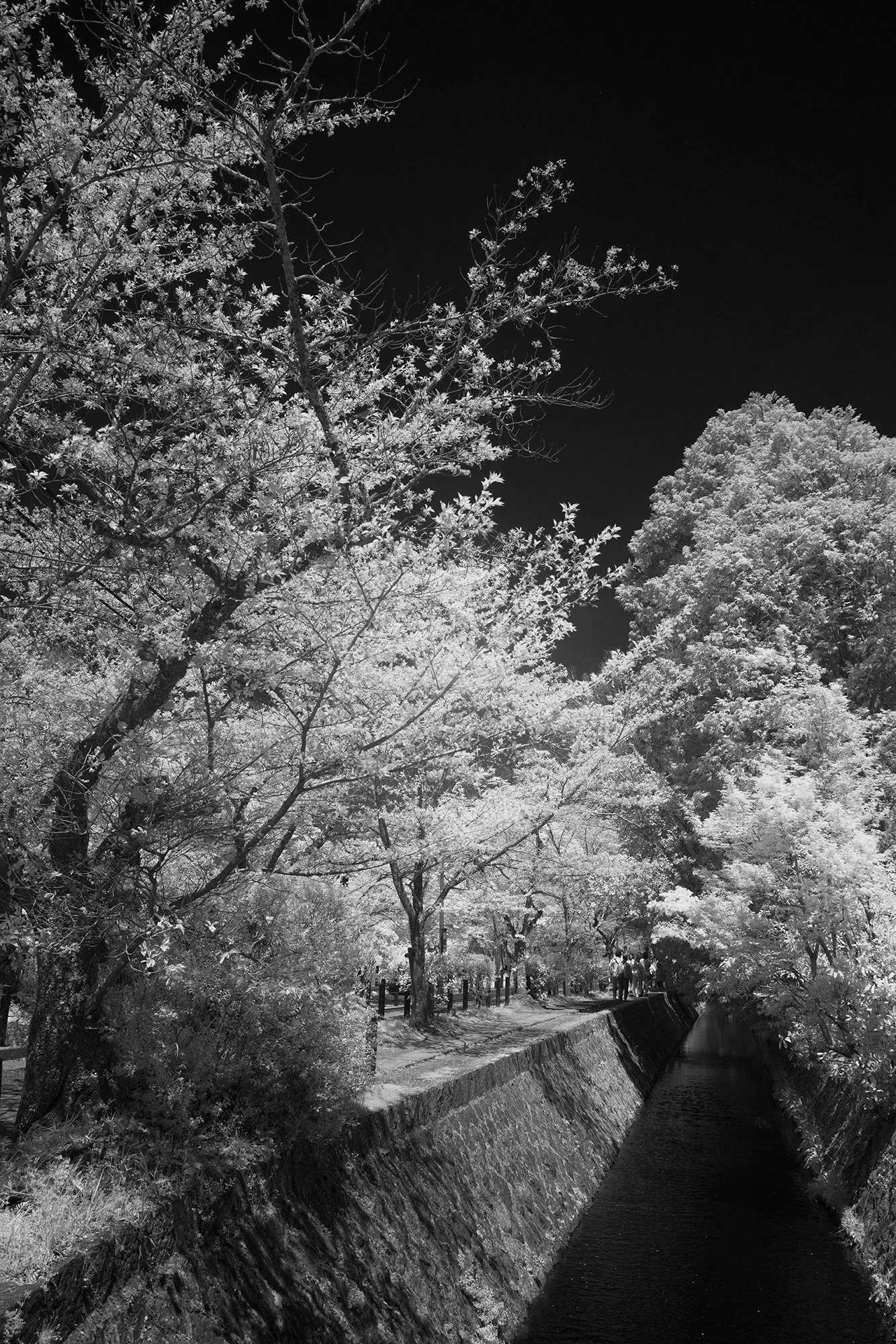 Philosophers_Path_Kyoto_01_2000.jpg