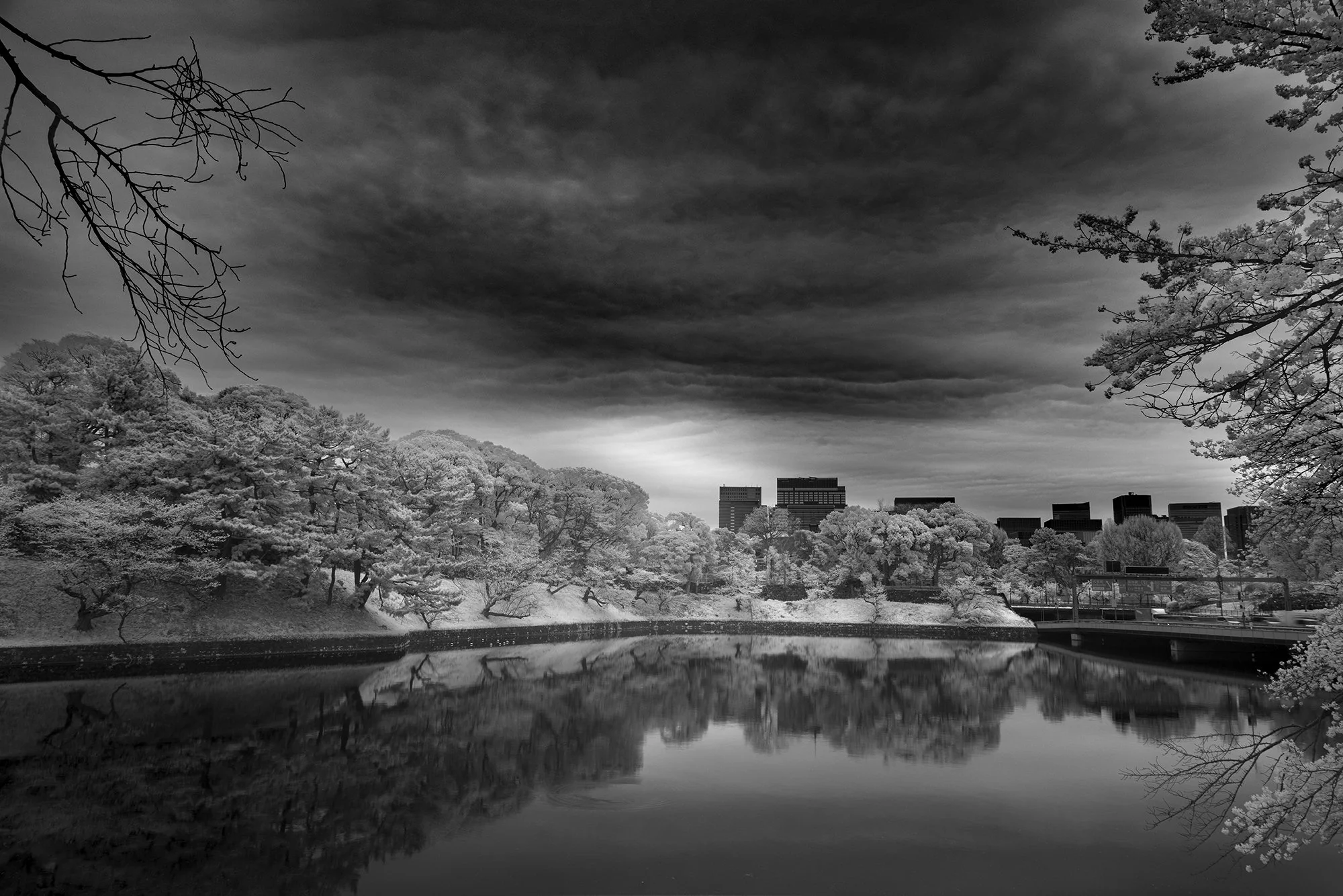 Chidorigafuchi_01_2000.jpg