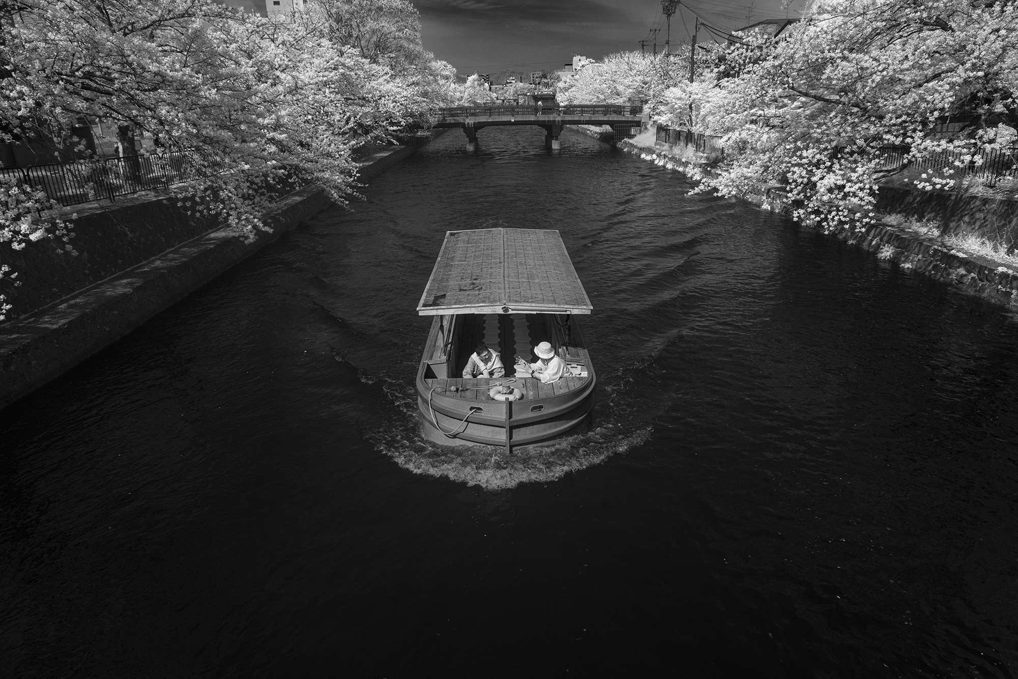 Kyoto_boat_02_2000.jpg