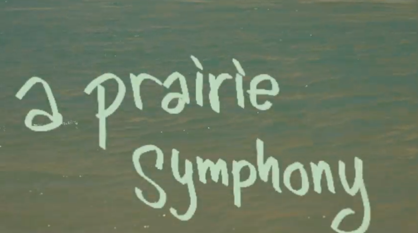 A Prairie Symphony - Promona Swati
