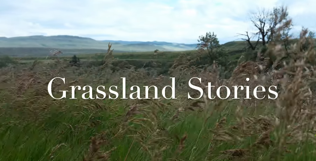 Grassland Stories - Meeka Atkinson