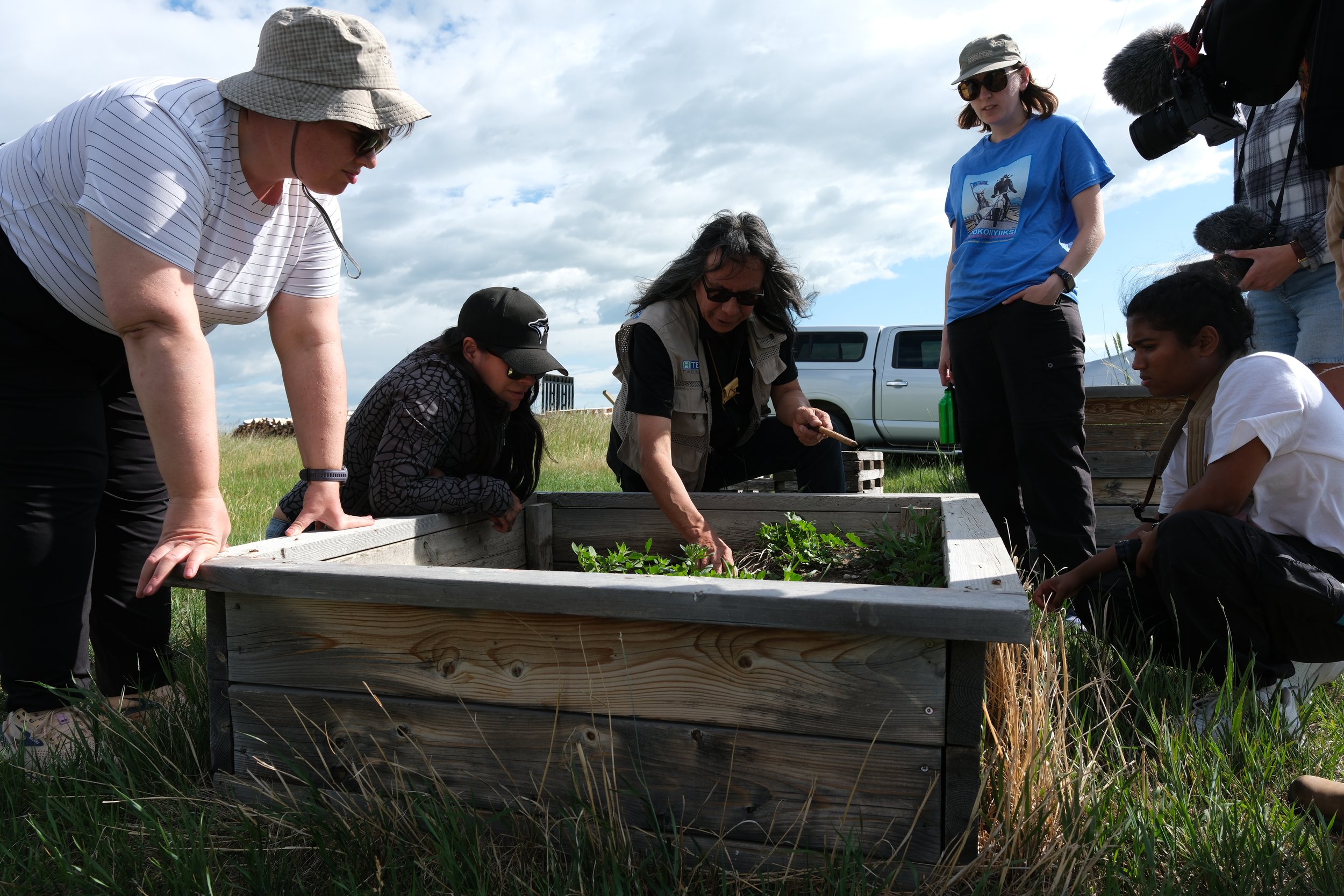 Learning about native grasses with Api'soomaahka at Naapi's Garden. Photographed by Katherine and Chloe.