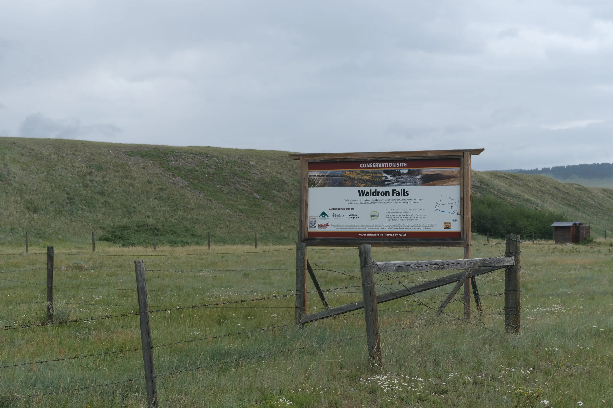 Visiting the Waldron Ranch. Photographed by Meeka and Ani.
