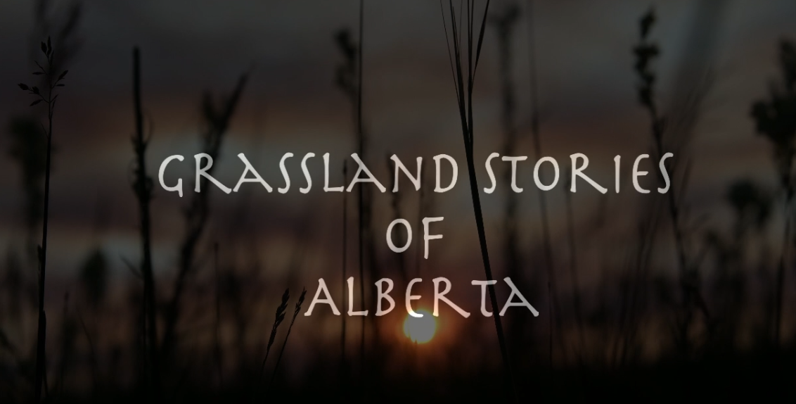 Grassland Stories of Alberta - Ashley Clearwater