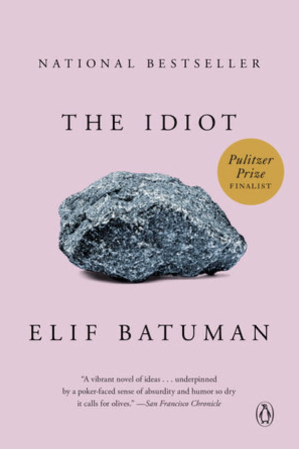 Book Club: The Idiot, Elif Batuman