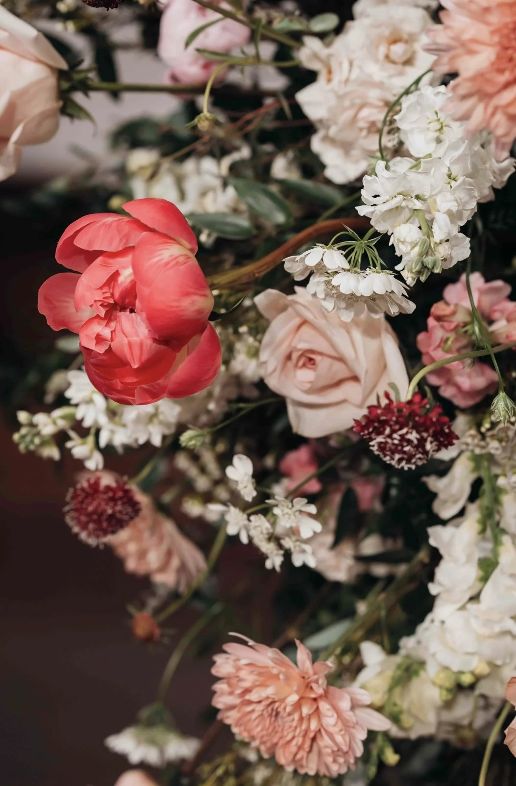 Roe Wedding
pc: @elegantproductionsfilm