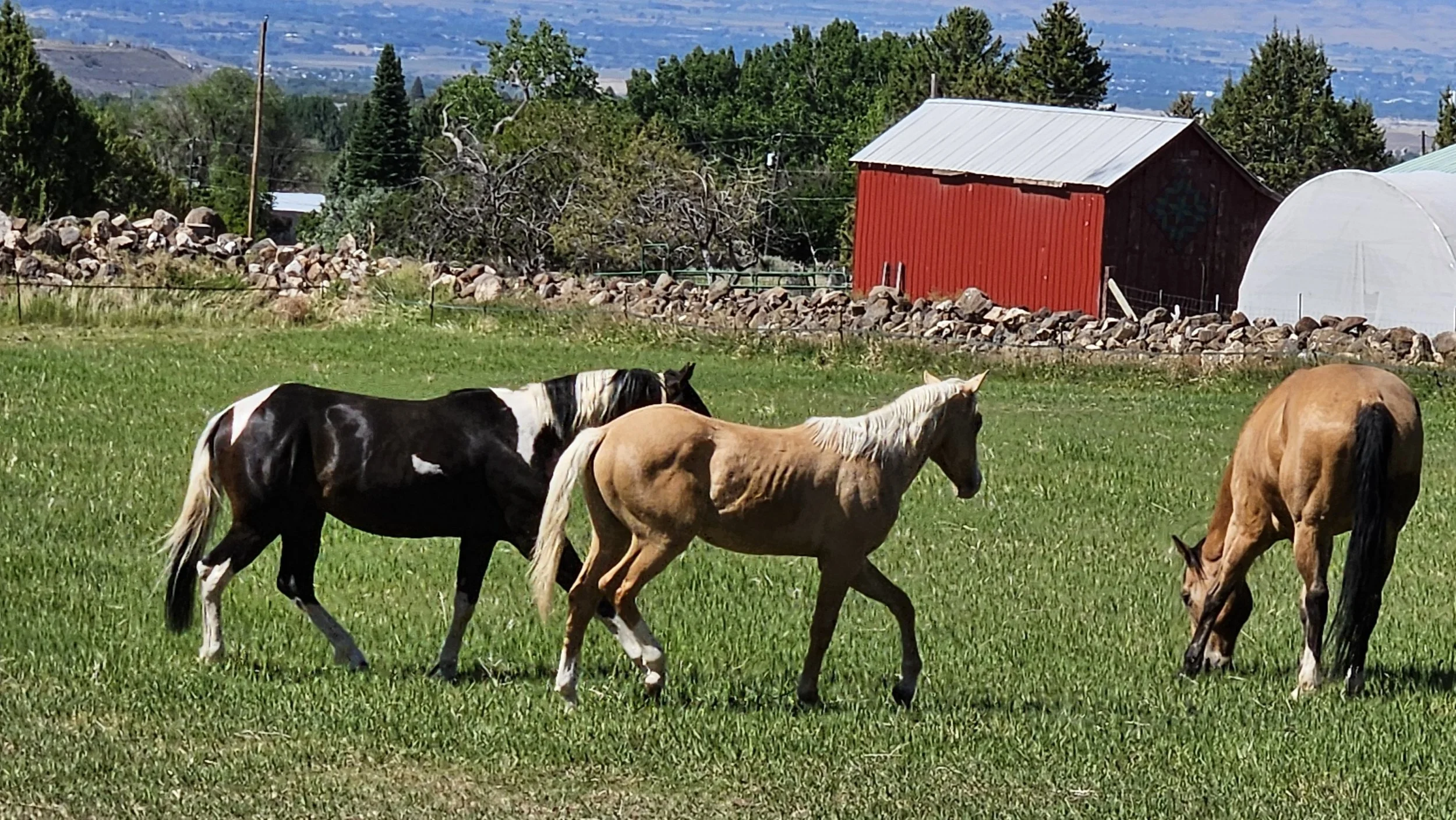 20240601_101643.jpg