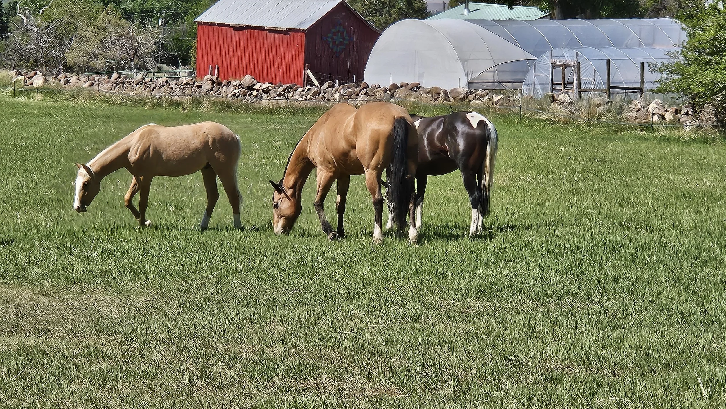 20240601_101653.jpg