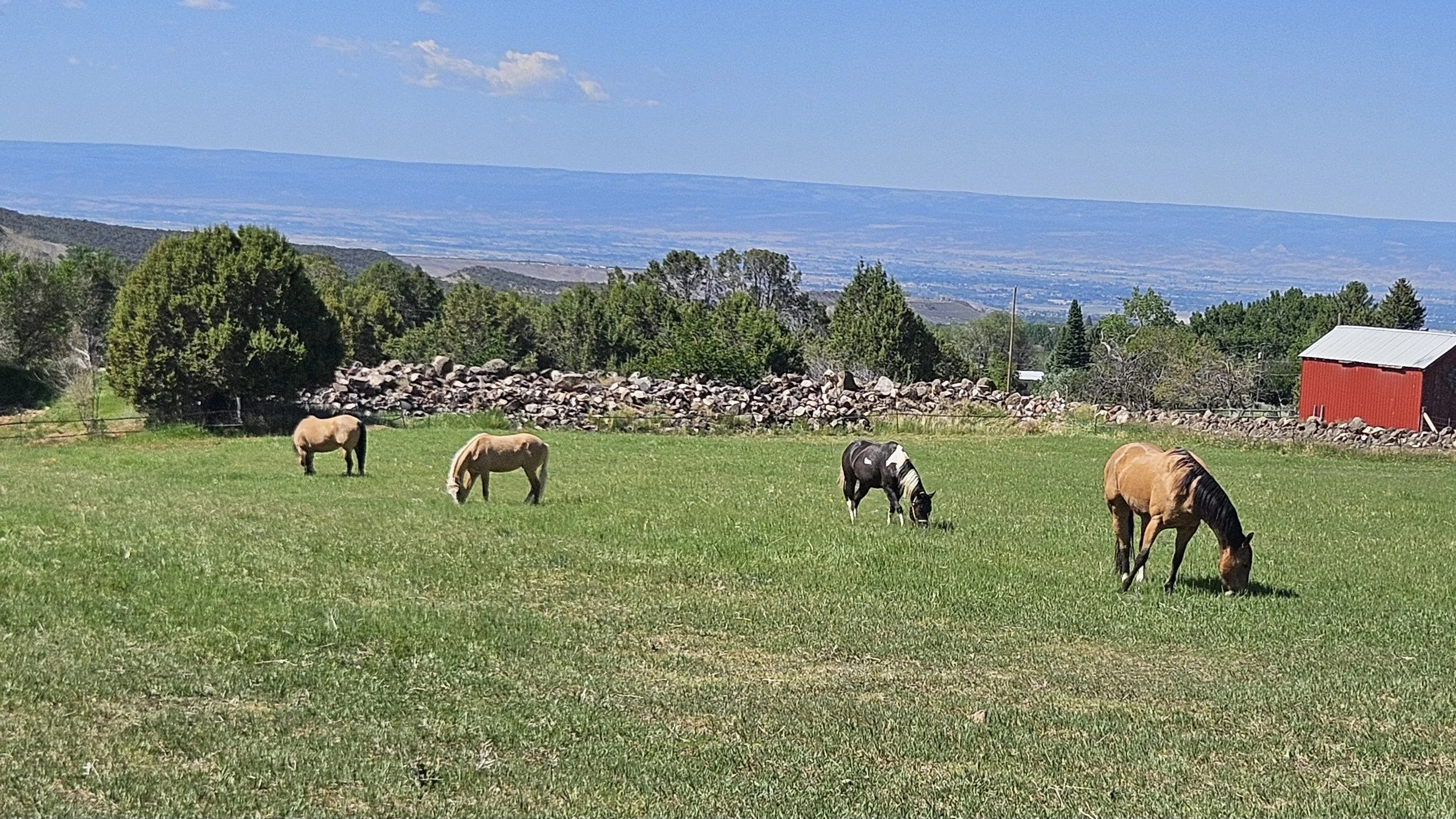 20240601_101813.jpg