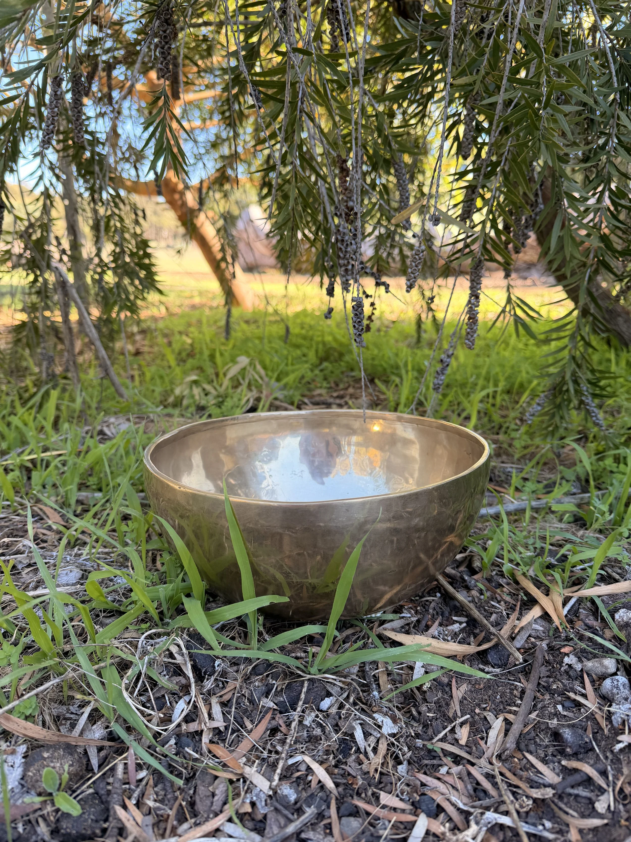 1:1 Sound Bath gift certificate