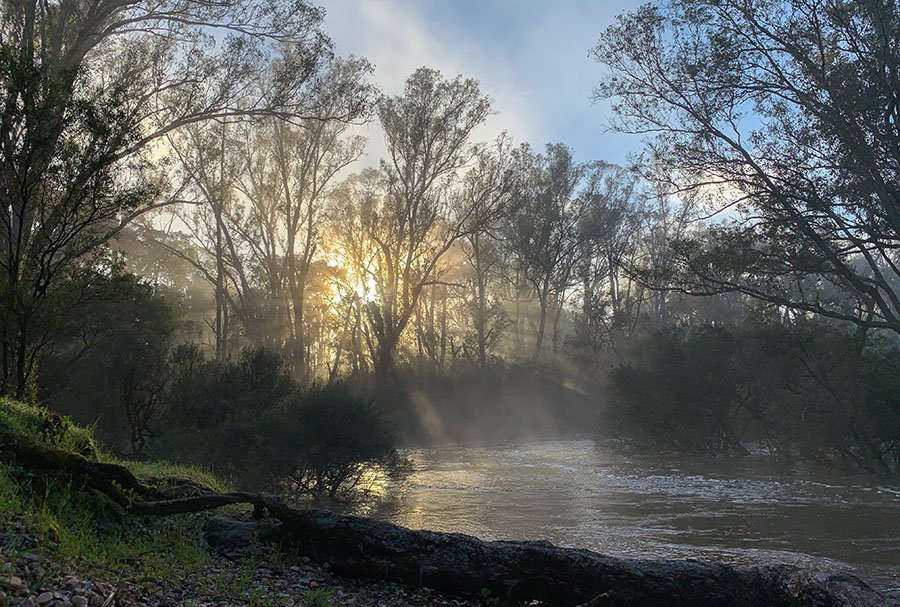 Why Nannup is WA’s True Sanctuary for Healing