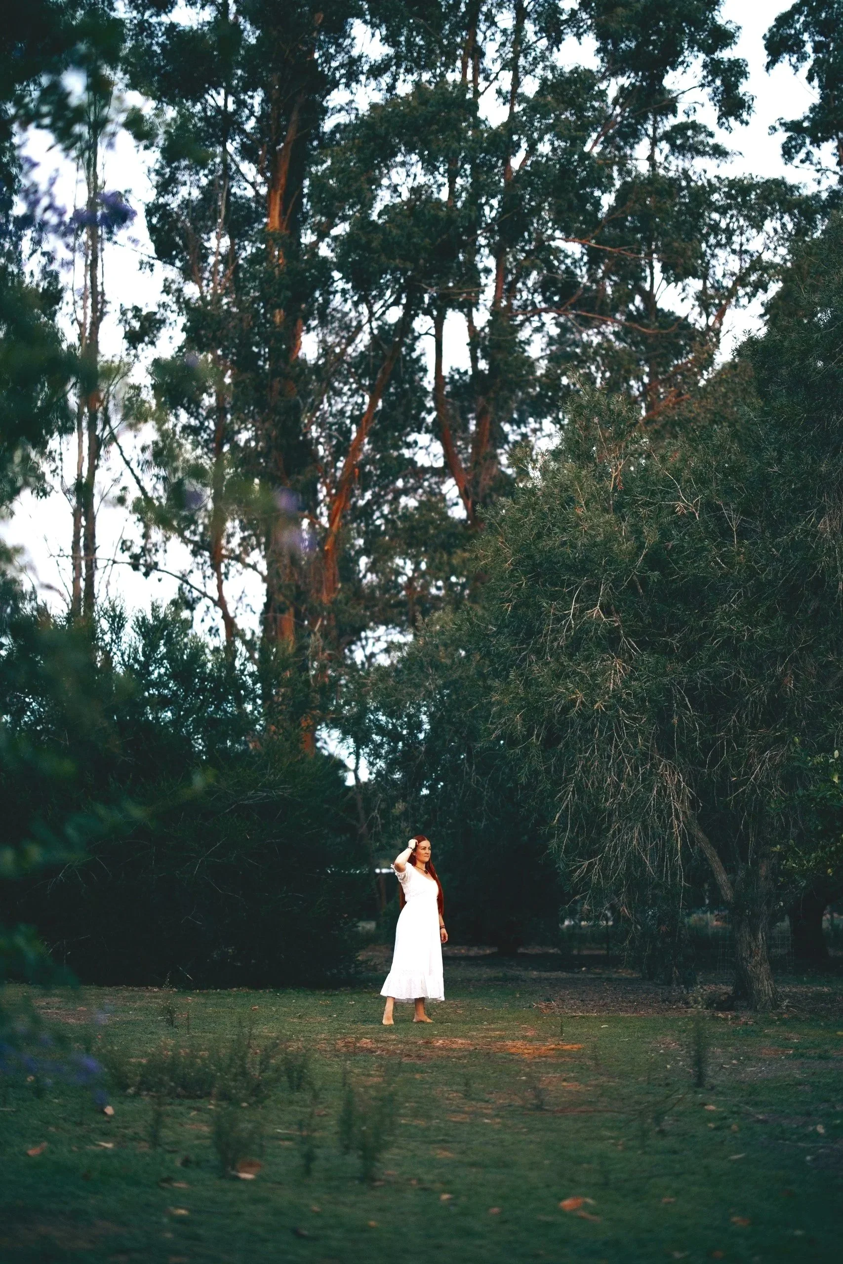 distant home and land energy cleansing dowsing