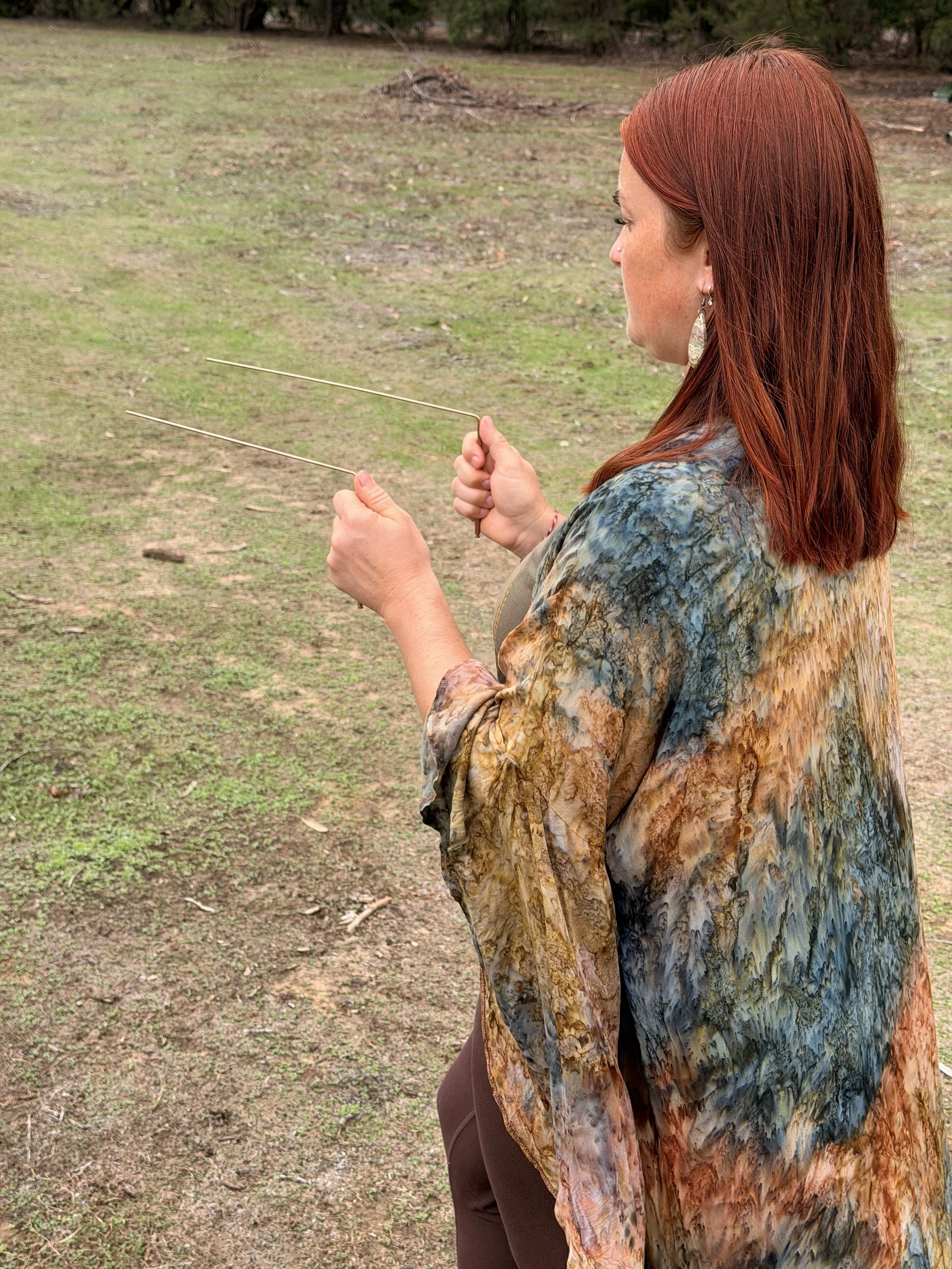 distant home and land energy cleansing dowsing