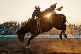 The Rodeo