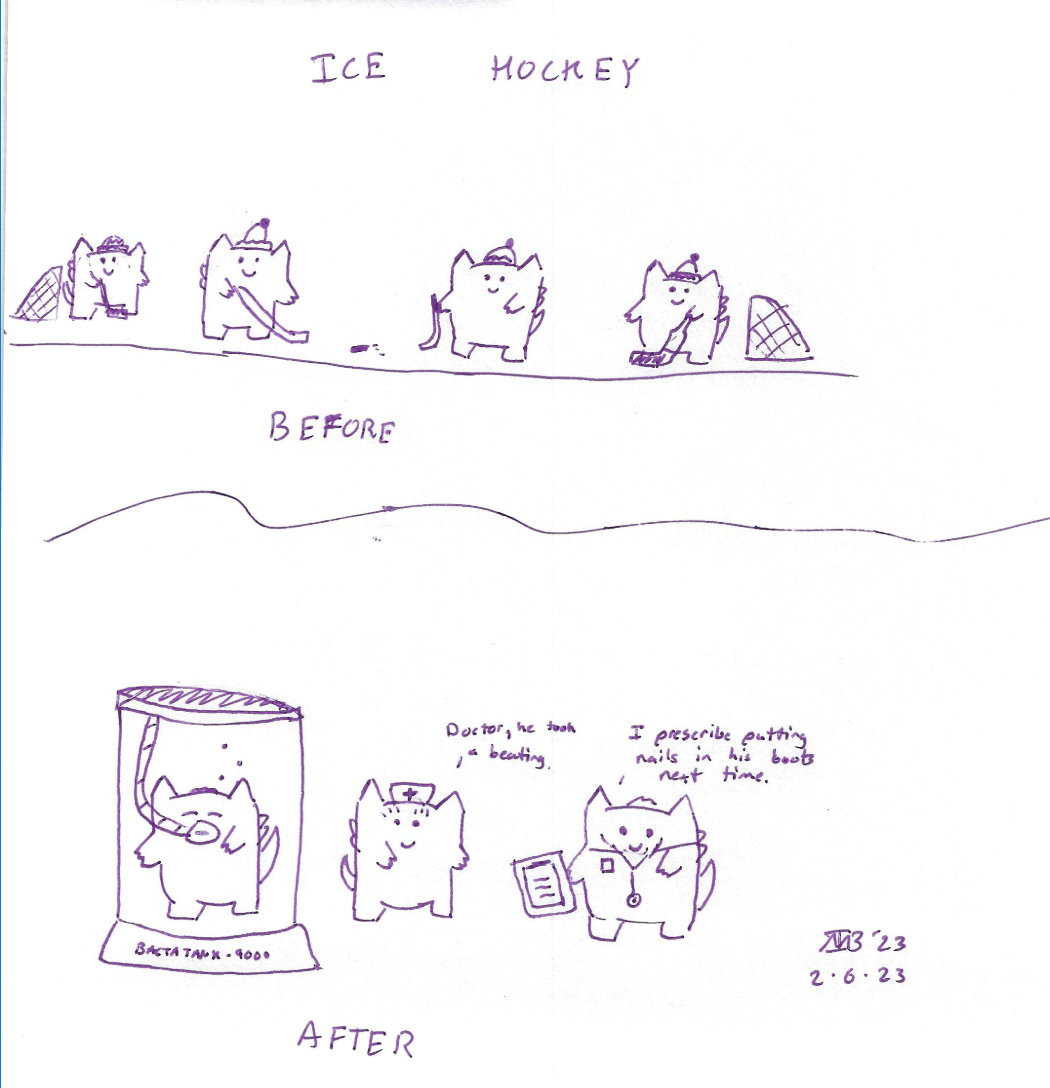 Ice Hockey Gars 2.PNG