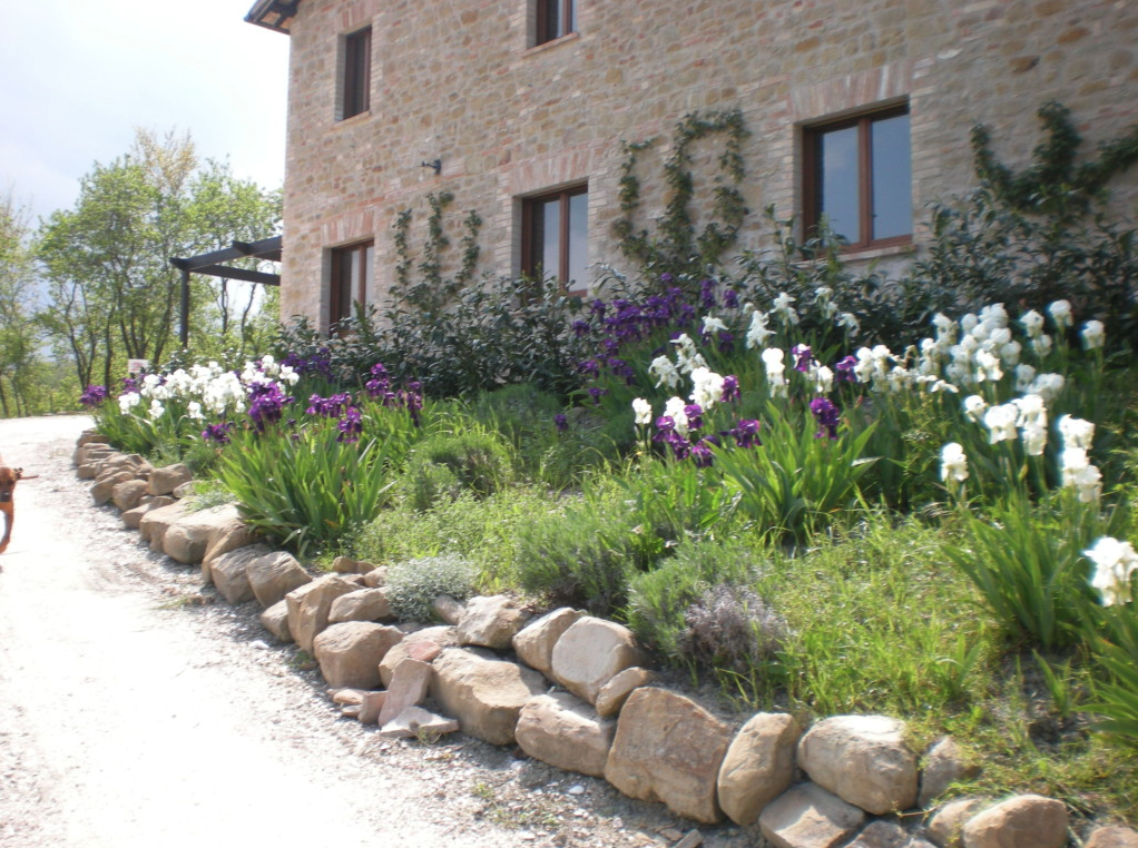 La Mela Rosa's front garden