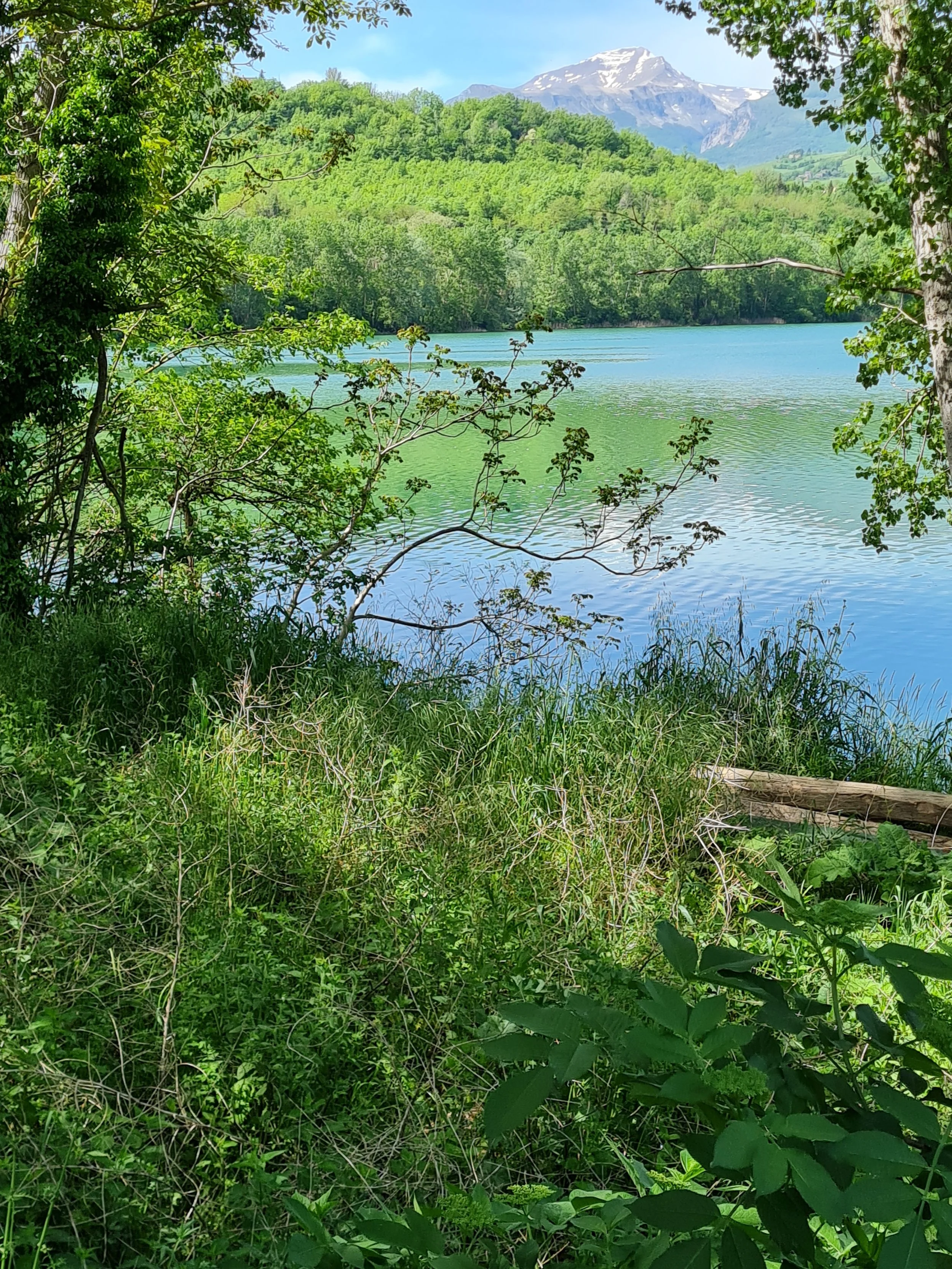 A glimpse of Lago di San Ruffino