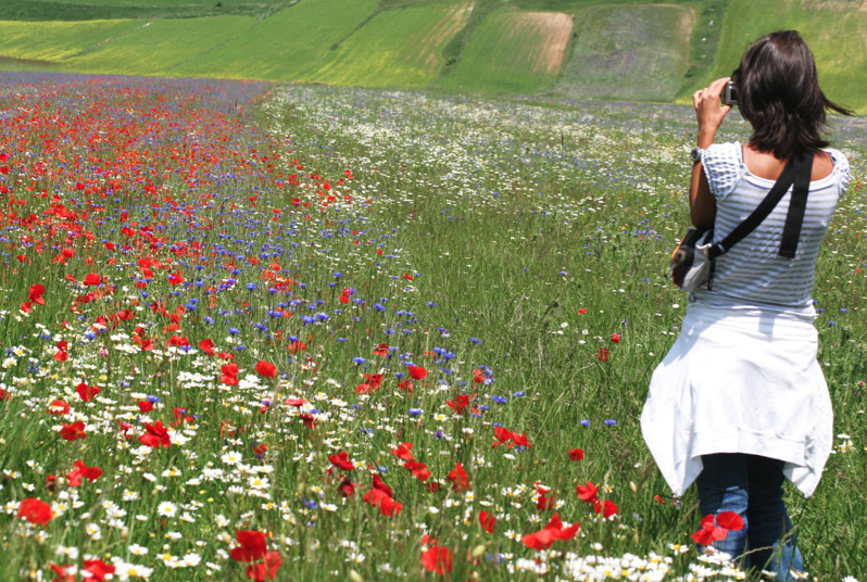 Spring at Castellucio