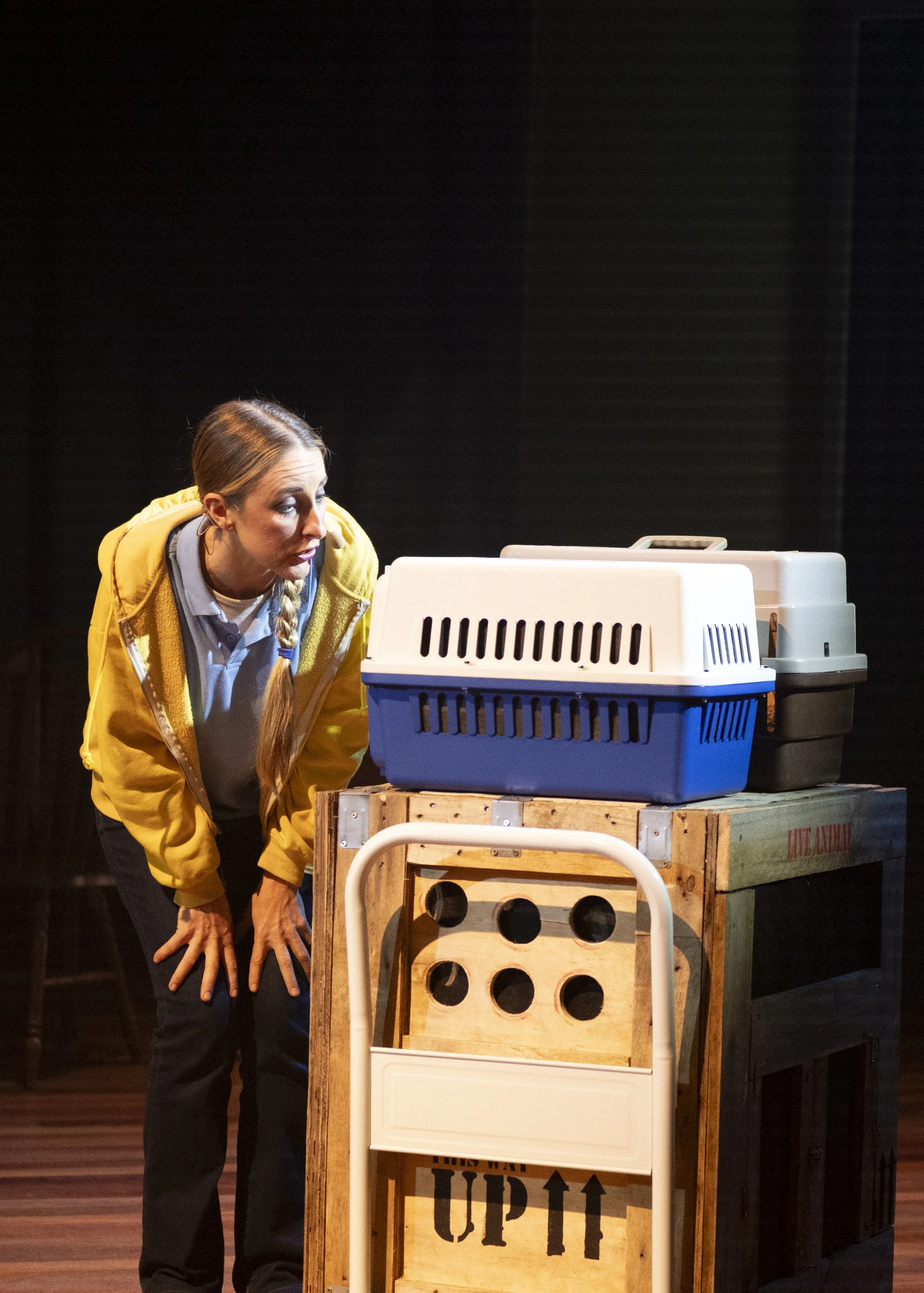 Woman wearing a yellow jacket leaning on a wooden table, looking curiously at a group of pet carriers on the table.