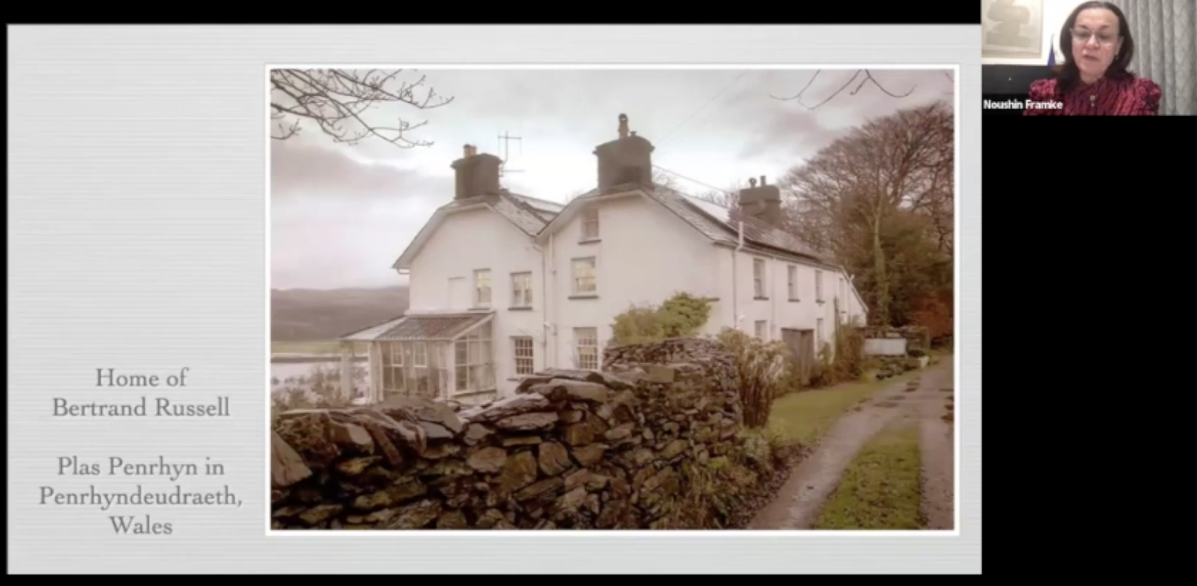 Videos Highlight Palestine Solidarity Overtures to General Assembly