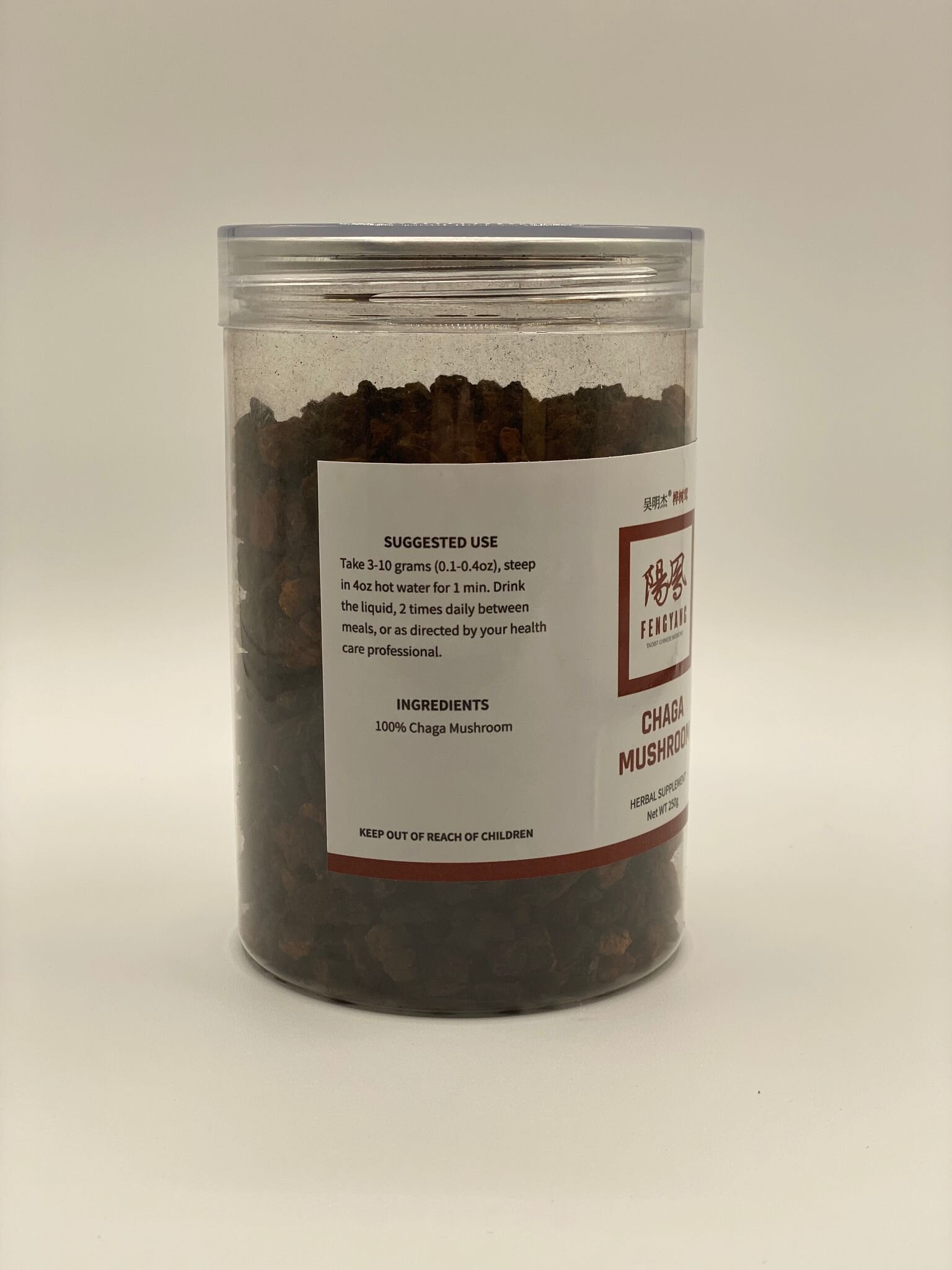 chaga mushroom 2.jpeg