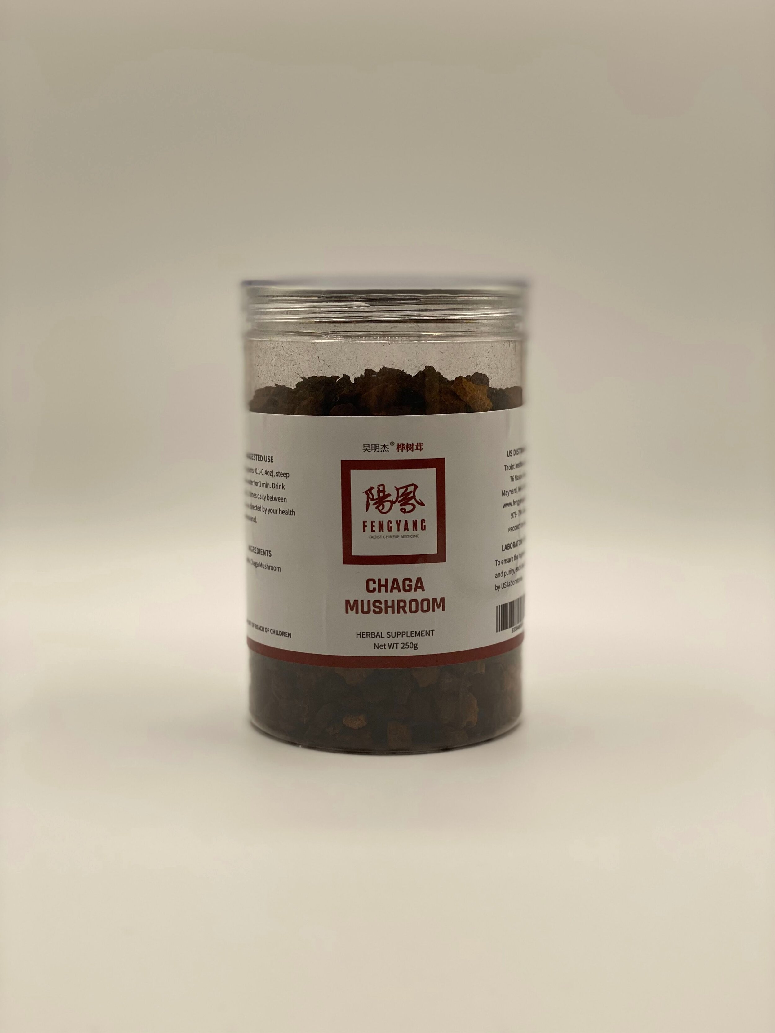 chaga mushroom 1.jpeg