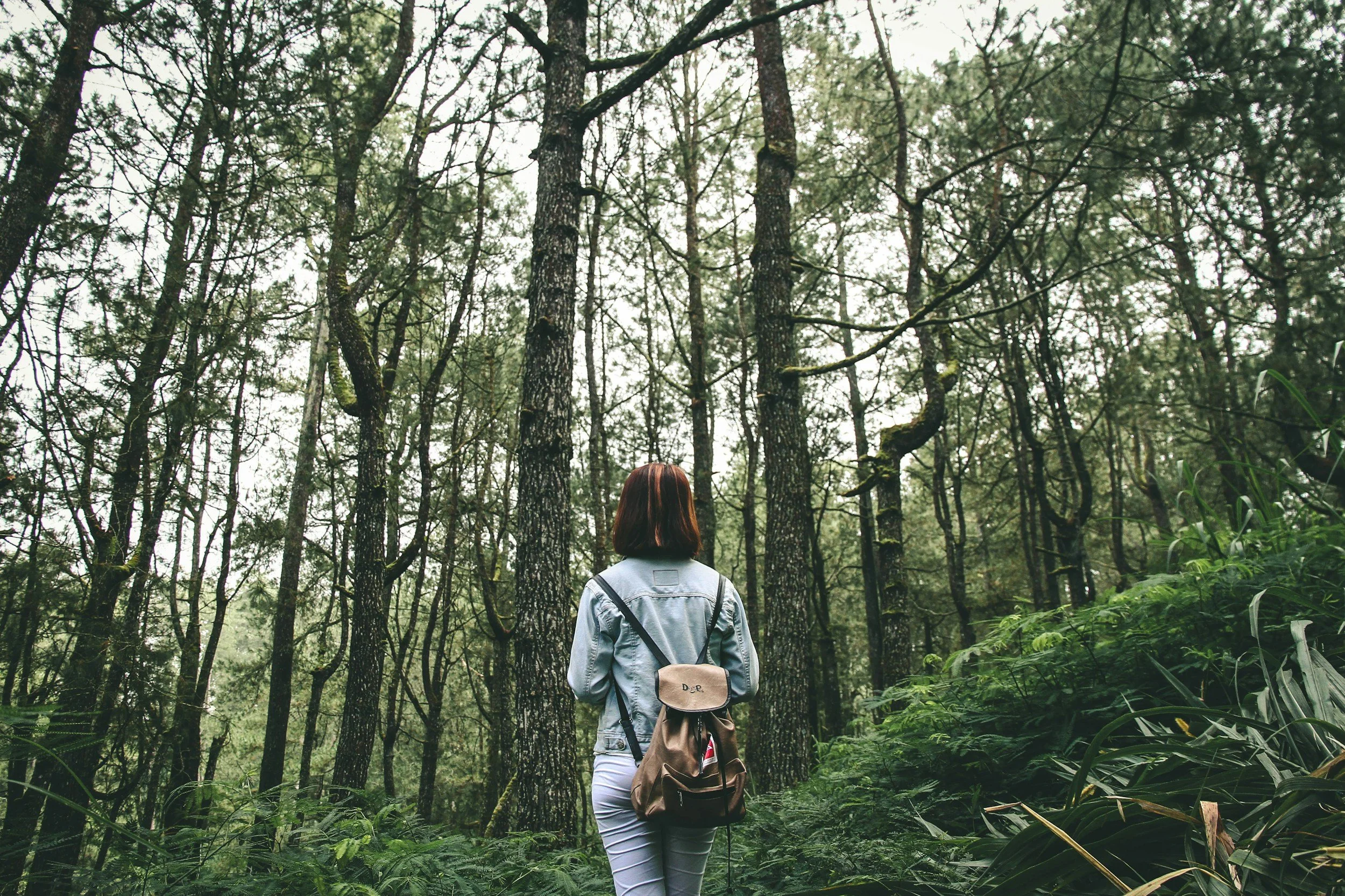 unsplash-image-gf9oi-eU_tA.jpg