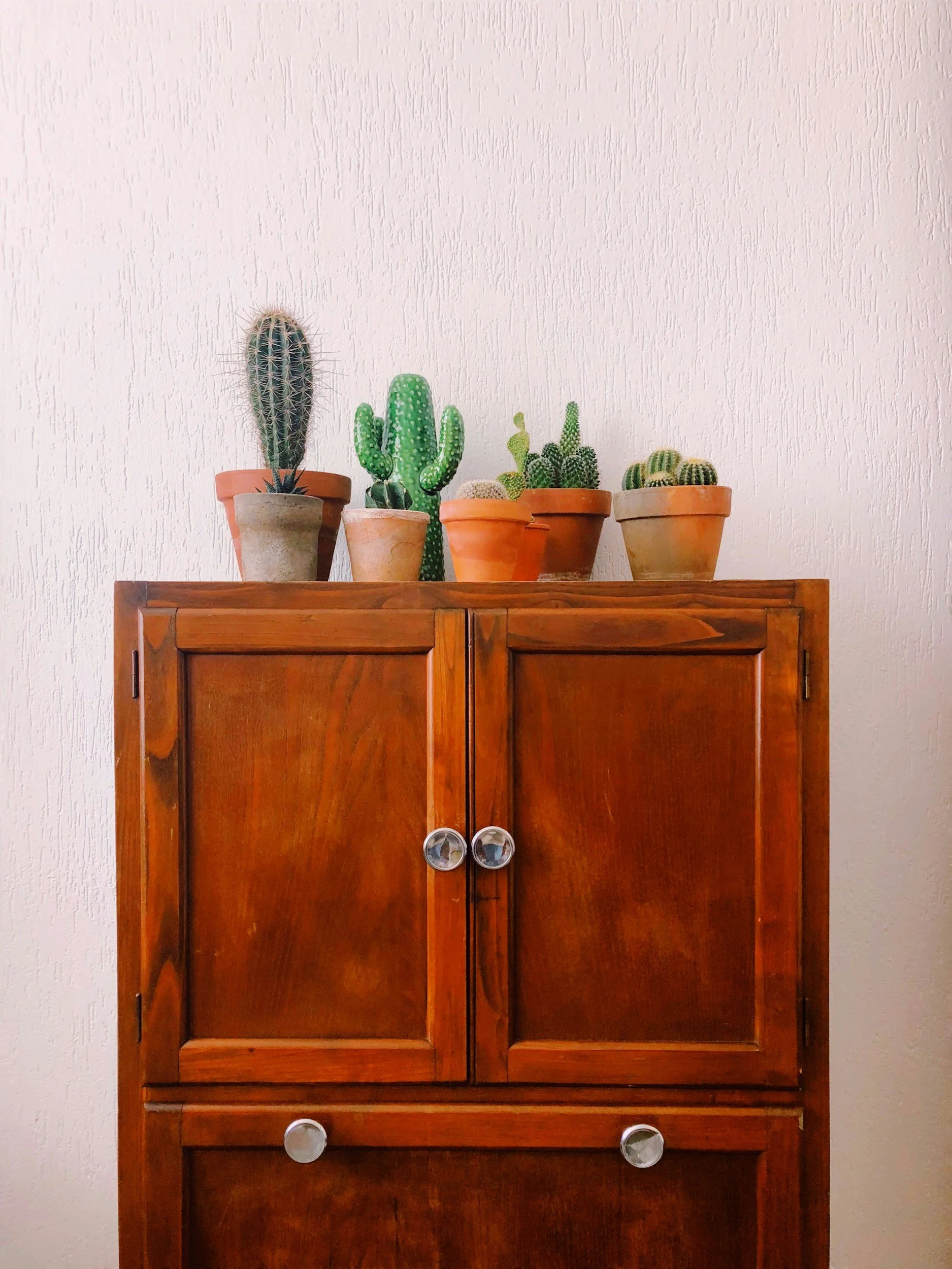 unsplash-image-hEUJgj6HByg.jpg