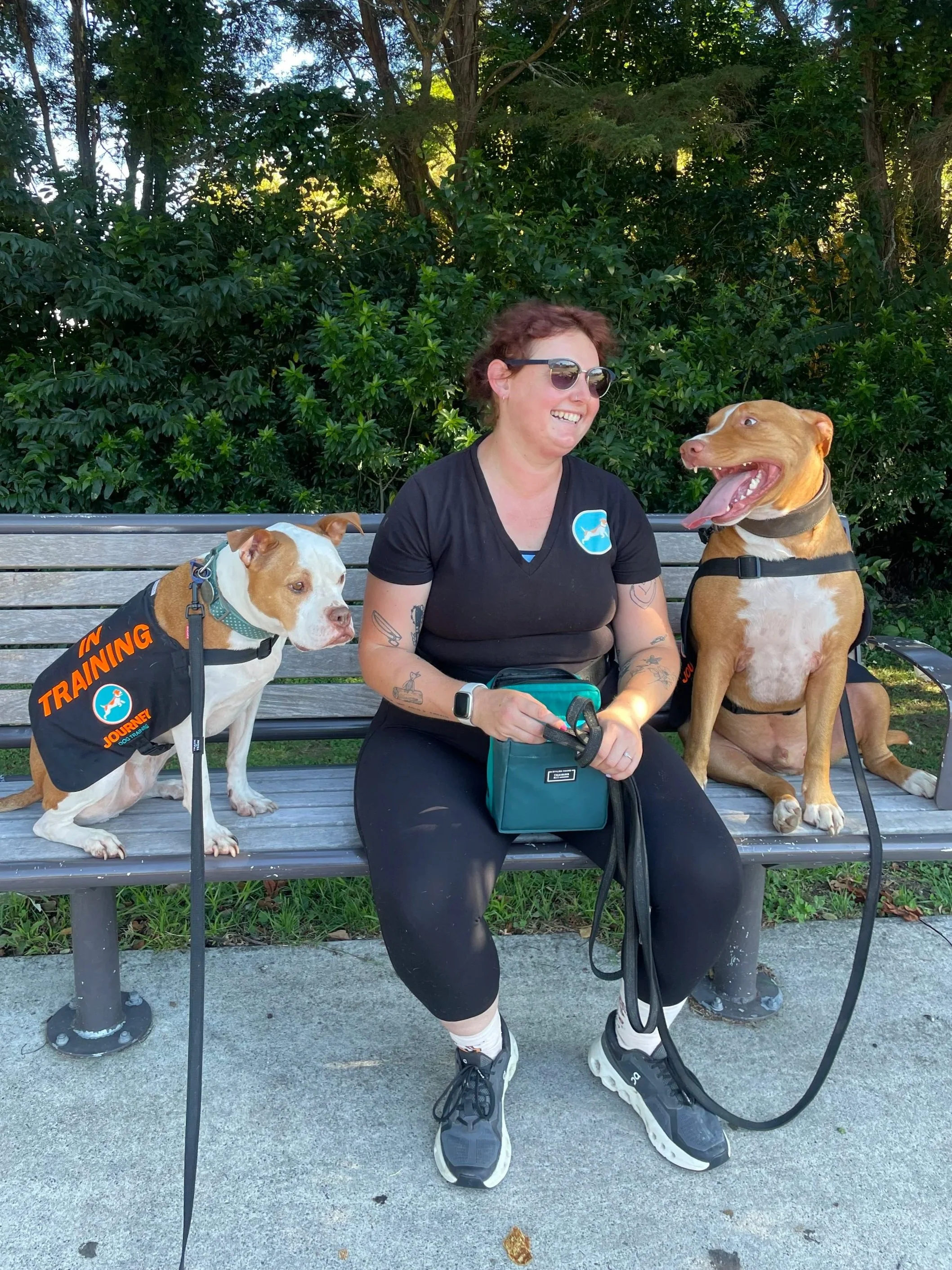 A woman sitting on a park bench with two large dogs, both wearing training vests. The woman is smiling and wearing sunglasses, and the dogs are siting calmly near her.