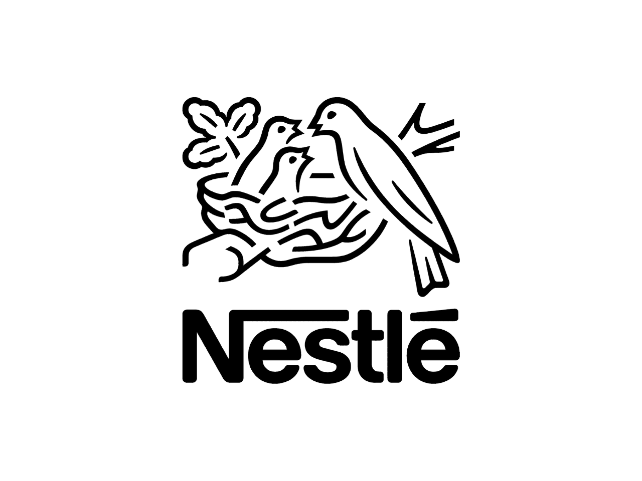 13.png