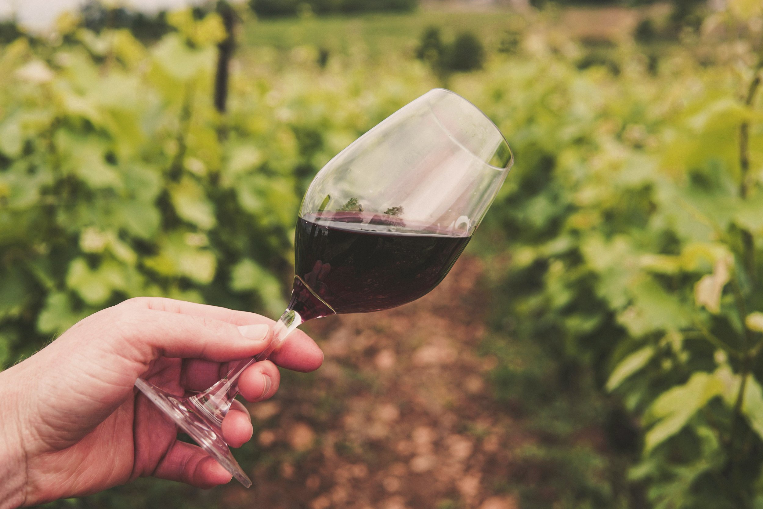 WINE GLASS.jpg