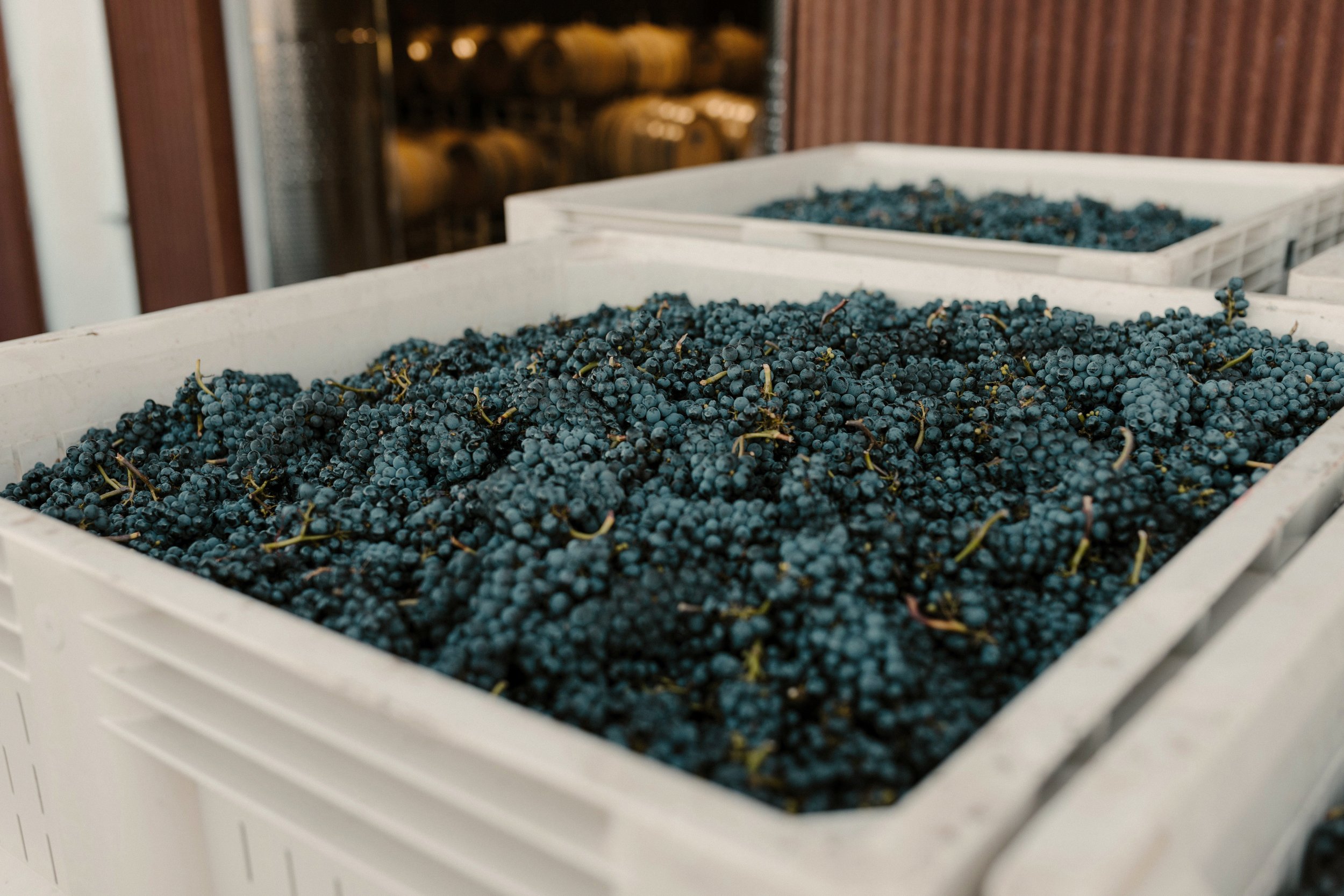 WINE CRATE.jpg