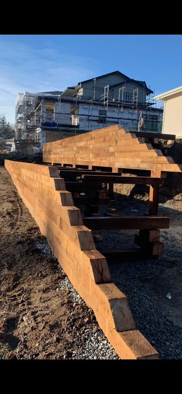 WhatsApp Image 2024-06-11 at 14.12.13.jpeg