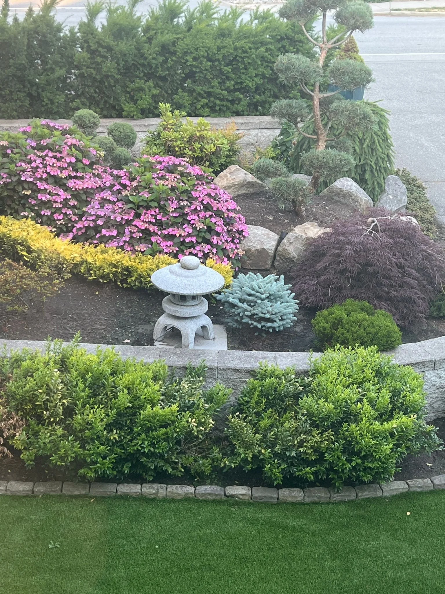 WhatsApp Image 2024-06-11 at 08.10.23.jpeg