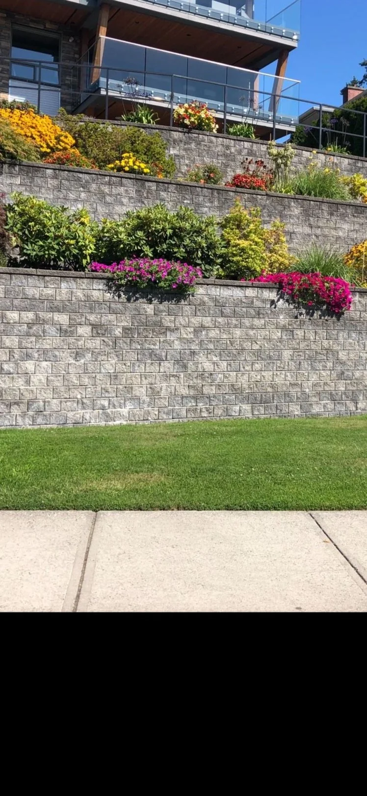 WhatsApp Image 2024-06-11 at 08.12.28.jpg