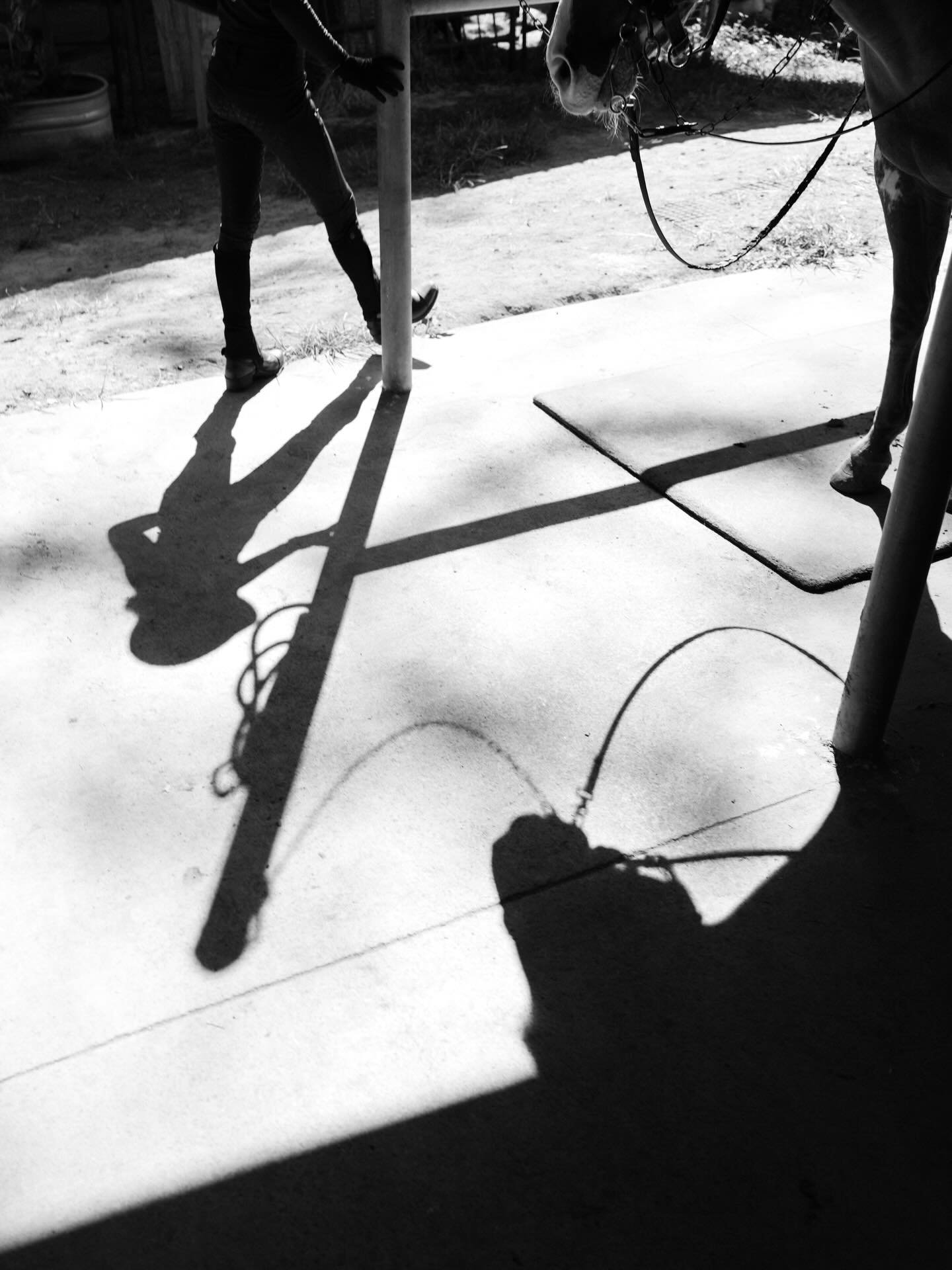 Therapeutic horsemanship 💚

#horsemanship #honoluluhawaii #hawaiisbestphotos #hawaiilife #horseoftheday