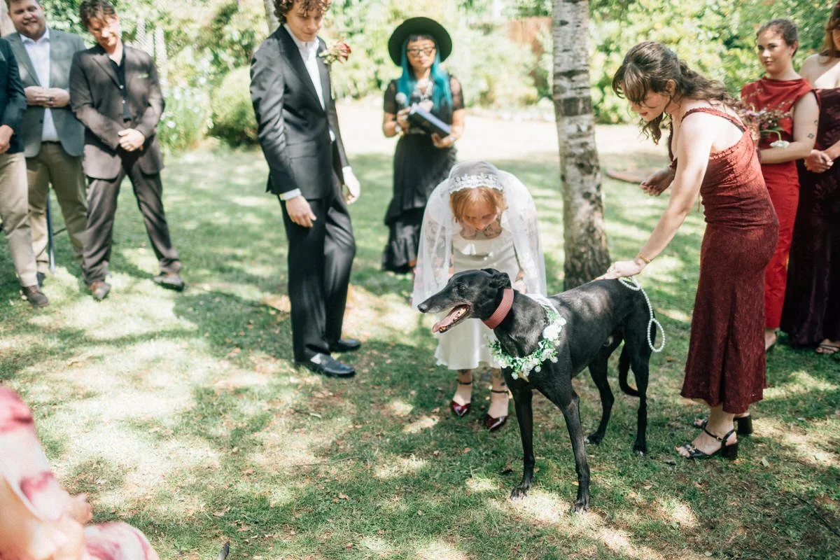 A wedding ceremony outdoors with a bride, a priest, and a black dog with a floral collar on a grassy area surrounded by trees. People are gathered around watching.