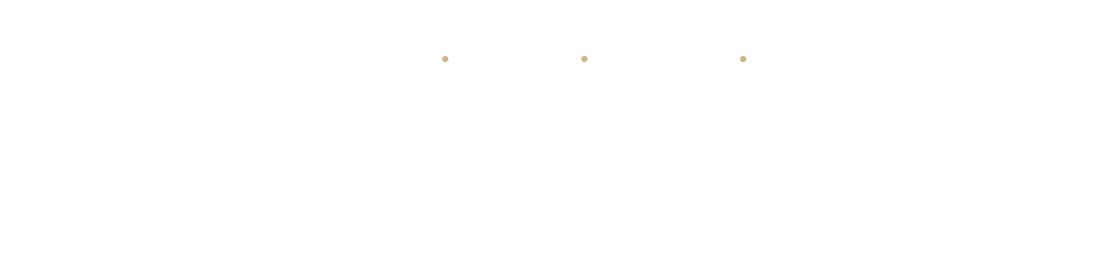 Text on a black background reads, "Performance. Story. Vision. Elevated. View Our Work" in large font.