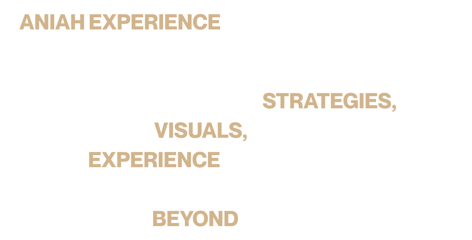 Text describing Aniaxperience as a creative agency focused on visual storytelling, strategies, bold visuals, and immersive experiences that go beyond the screen.