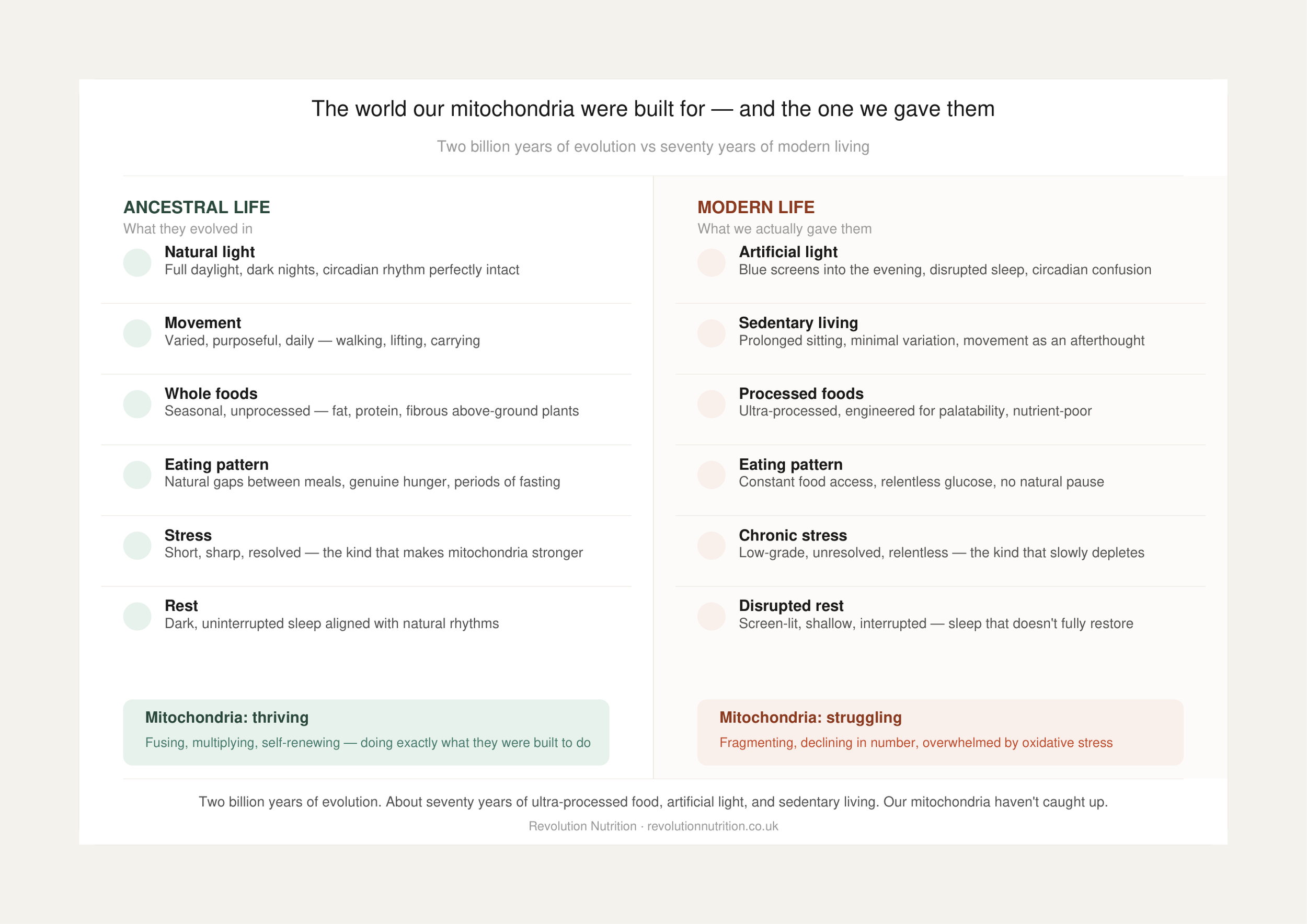 An infographic showing the differences between ancient and modern life