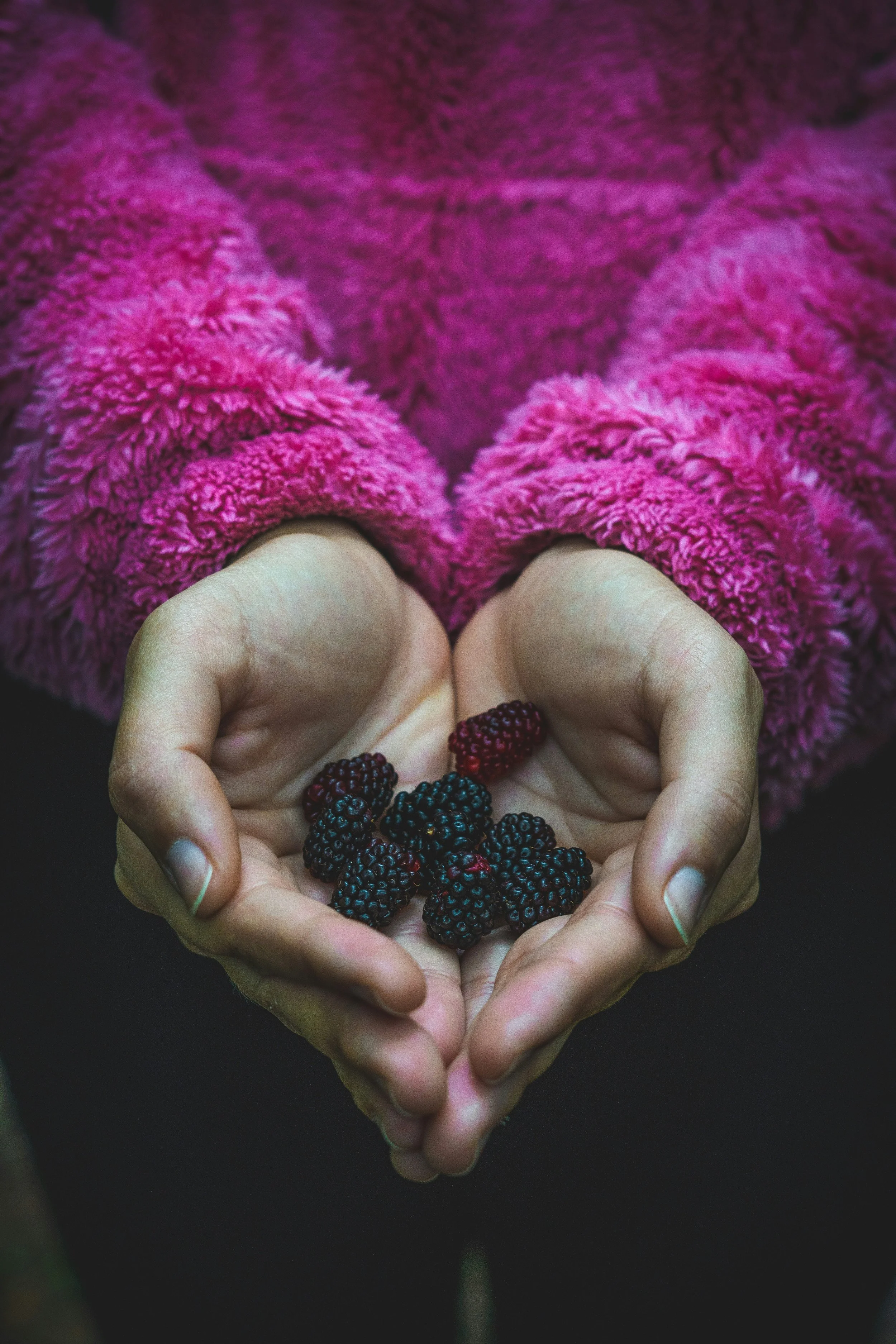 What? Why? Blackberries