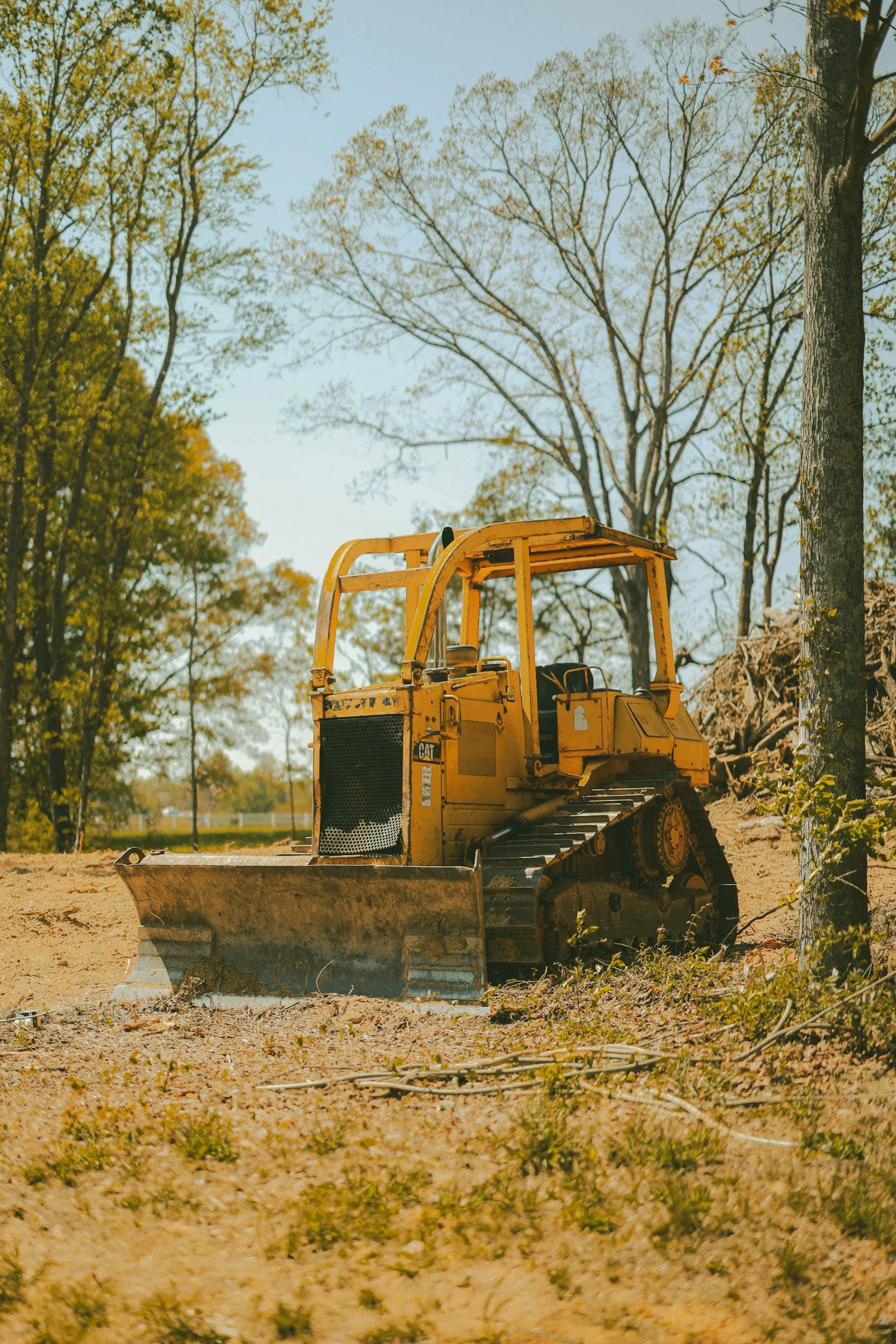 Land Clearing Service in Auckland