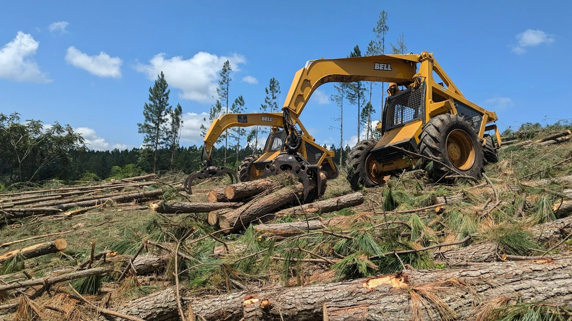 using machine to remove tree debris