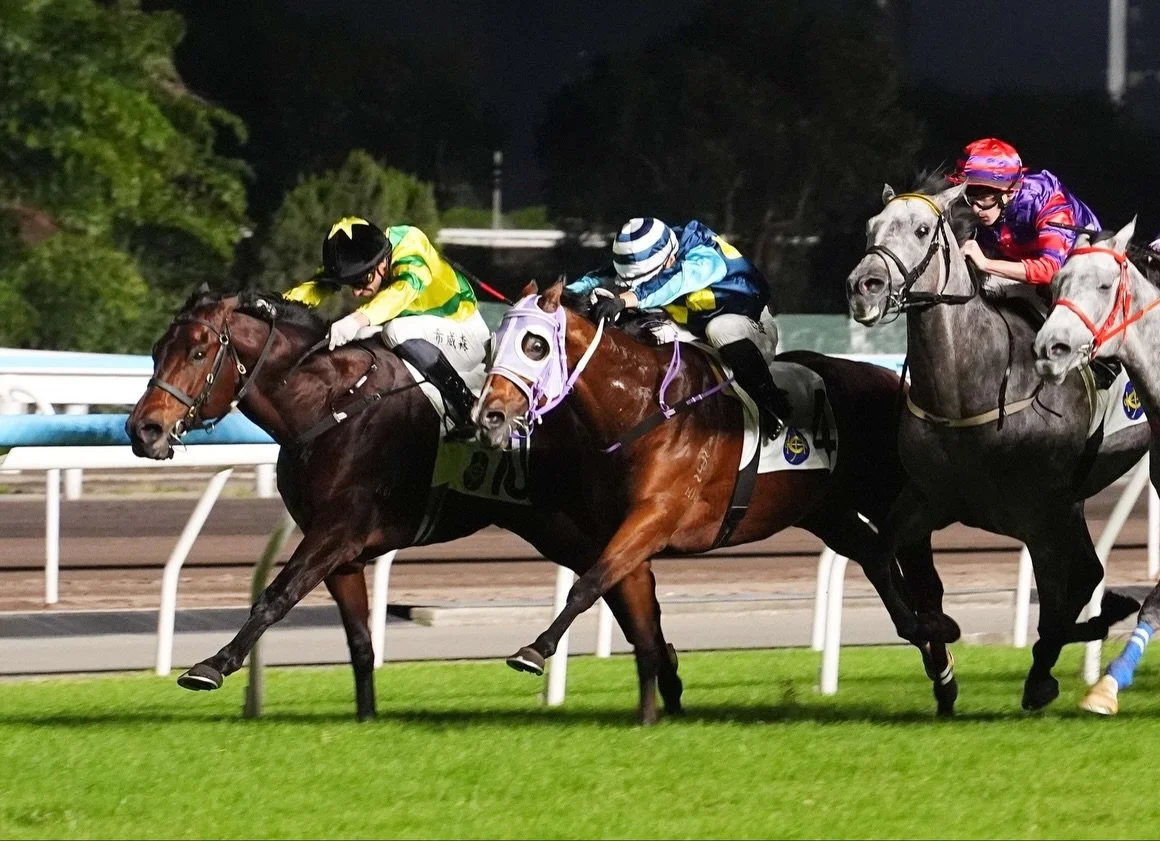 Riding Together makes it 4 wins in 2 weeks! 🔥 🔥 🔥 Thank you @lylehewitson for a 🍑 of a ride and to @eustaceracing for their hard work and dedication!