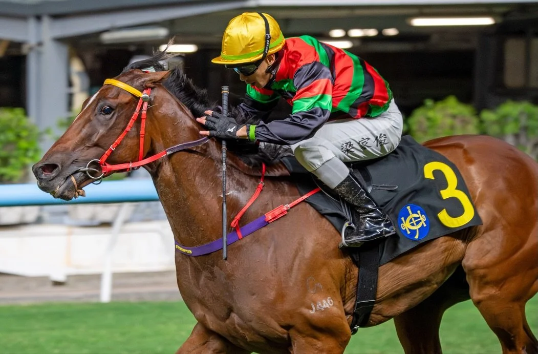 Fortunate Son, with jockey Derek Leung, will run in race 7 tonight over 1650 meters today from barrier 5. Good luck to @derek_kc_leung and @cmracing_official and we hope the win streak continues!