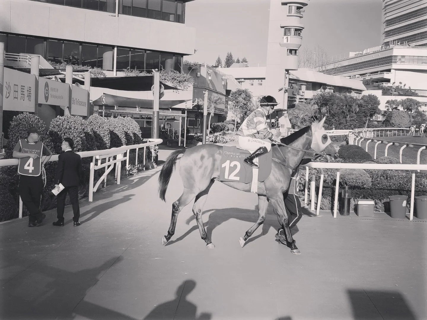 Pray for Mir, with jockey Matthew Chadwick, will race over 1600 meters from barrier 14. We would like to keep the victims of the Tai Po fire in our thoughts. We hope through racing, that we can make a difference by bring a bit of joy to those going t