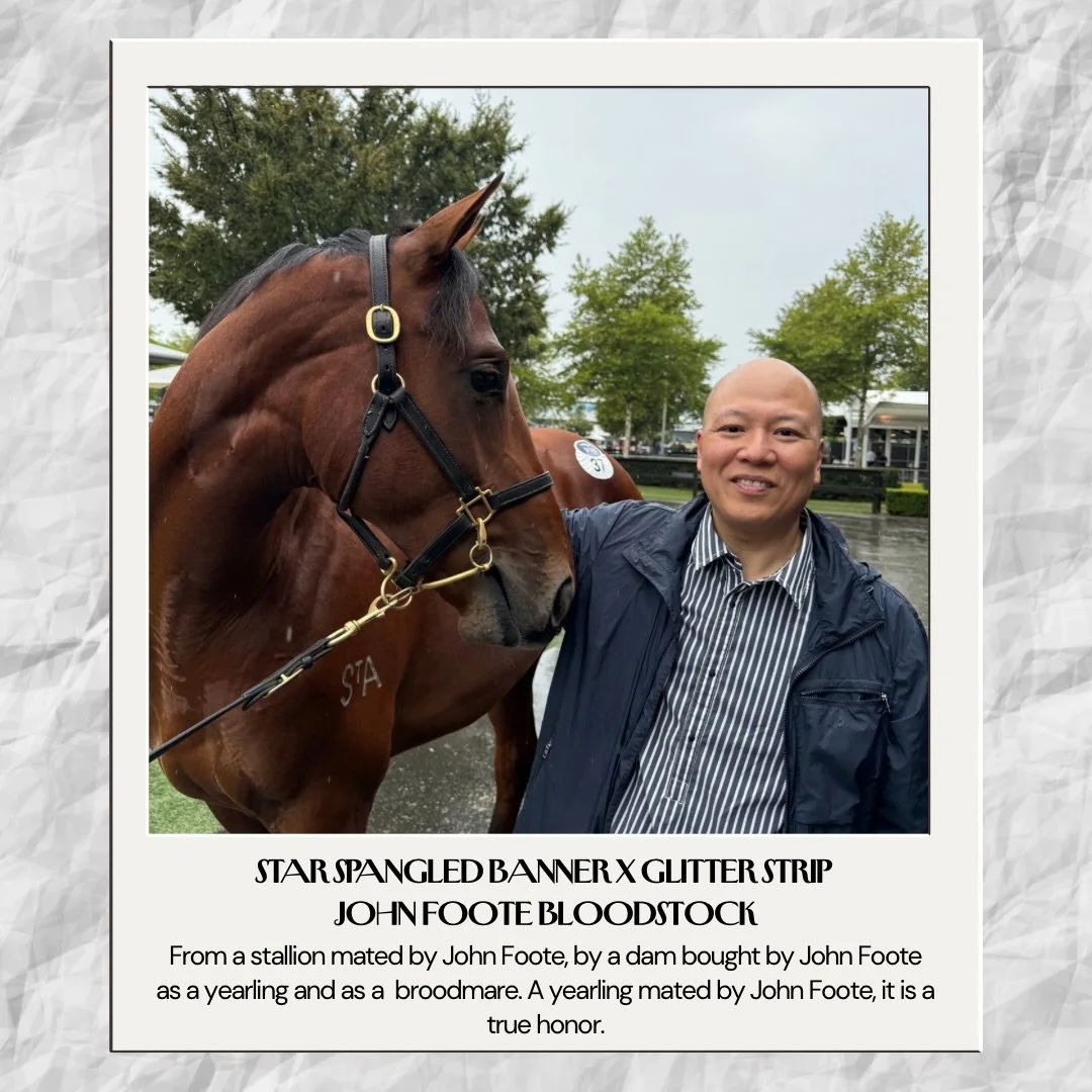 We are honored and delighted to announce the addition of Lot 37 of the Inglis Classic Sale 2026. This Star Spangled Banner colt out of Street Boss mare Glitter Strip holds significant emotional value to us. The colt&rsquo;s mating was done by John Fo