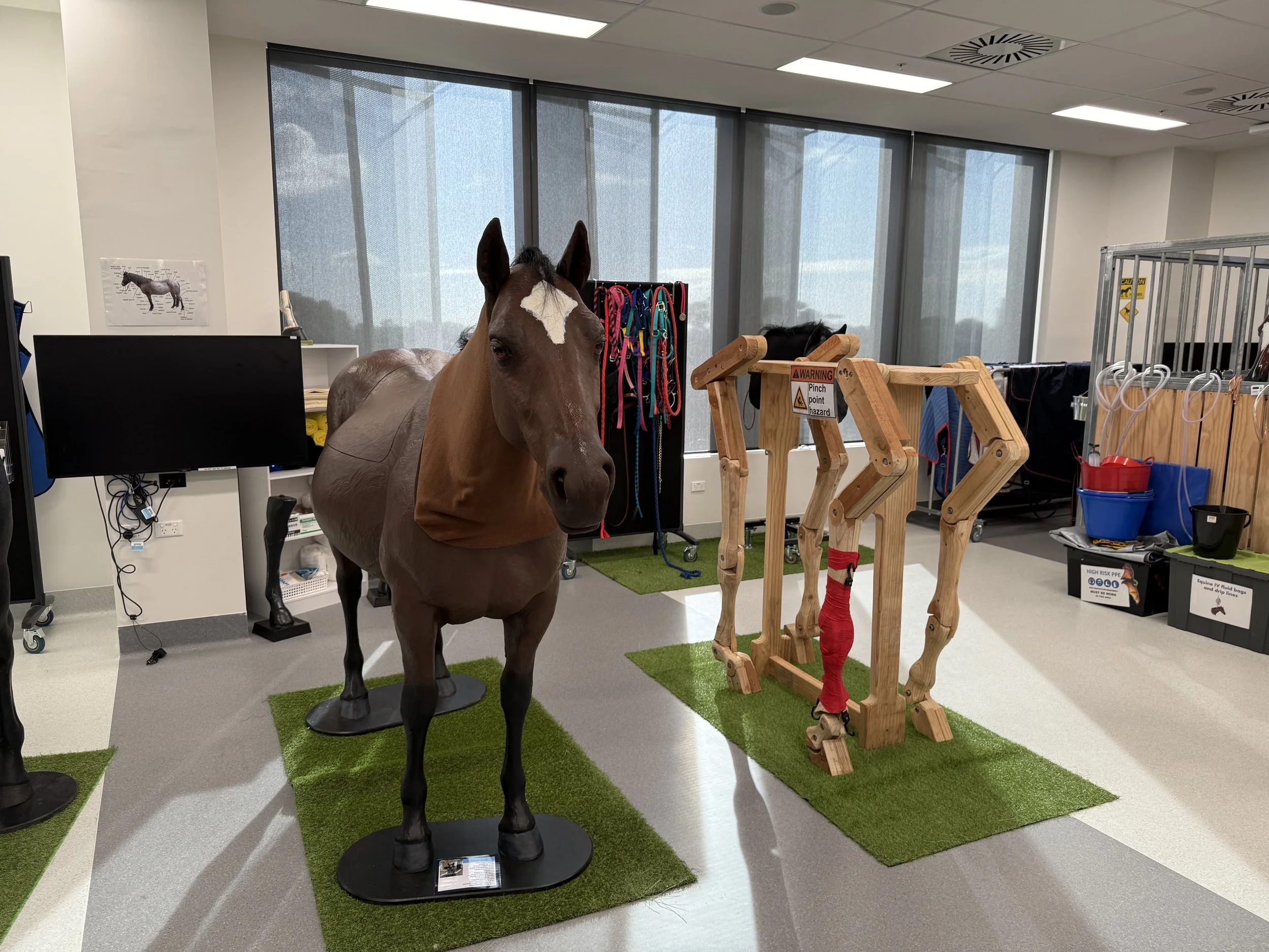 ‘We are at a slow canter in a fast moving world’: Equate making strides in 2025